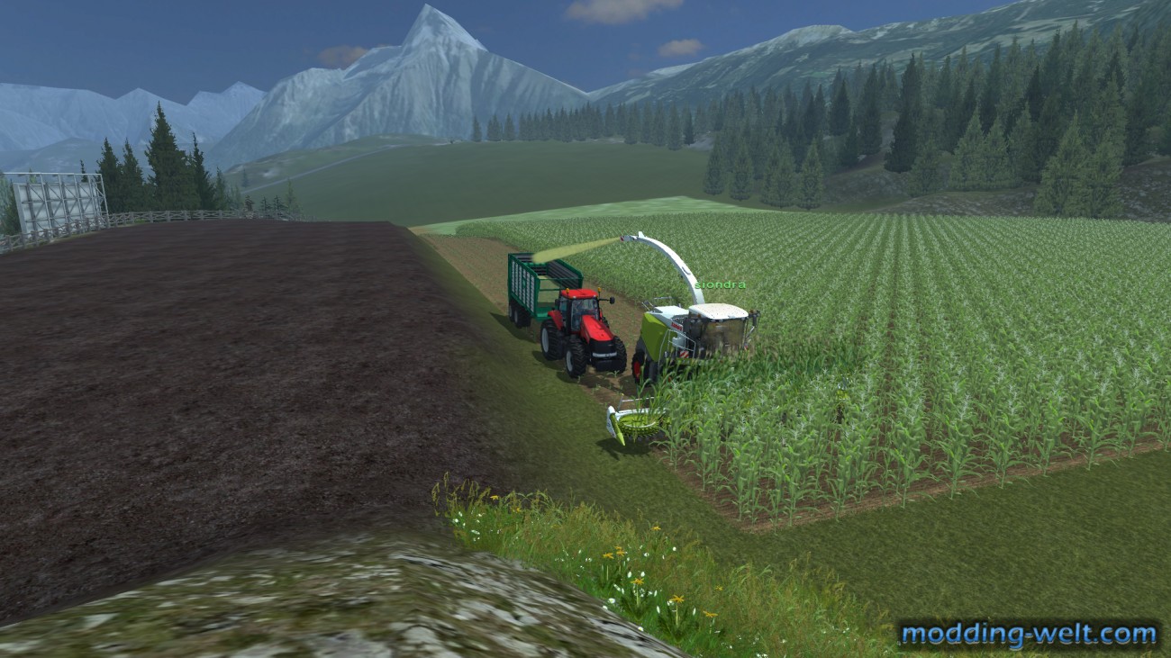 Erster MP-Versuch