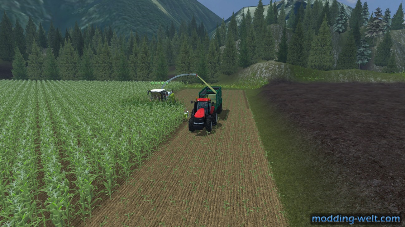 Erster MP-Versuch