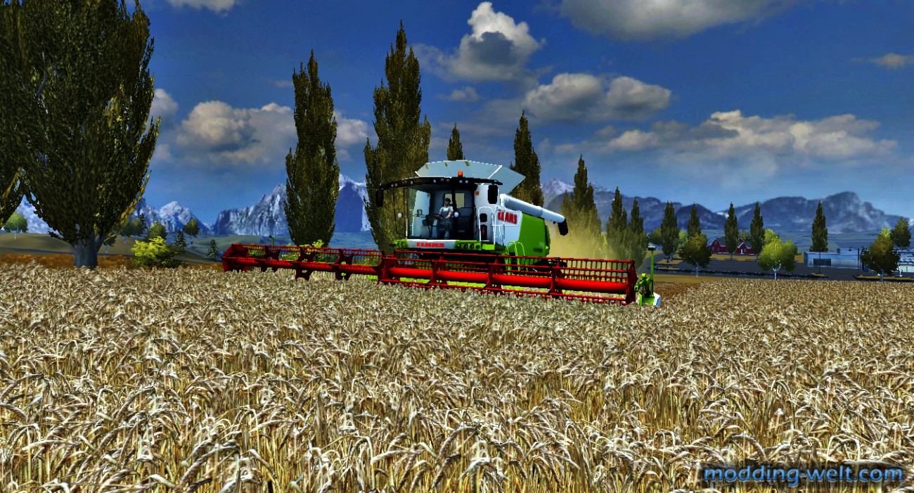 Harvest Barley