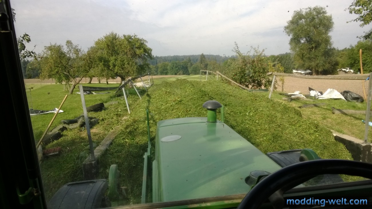 WP_20131004_020.jpg