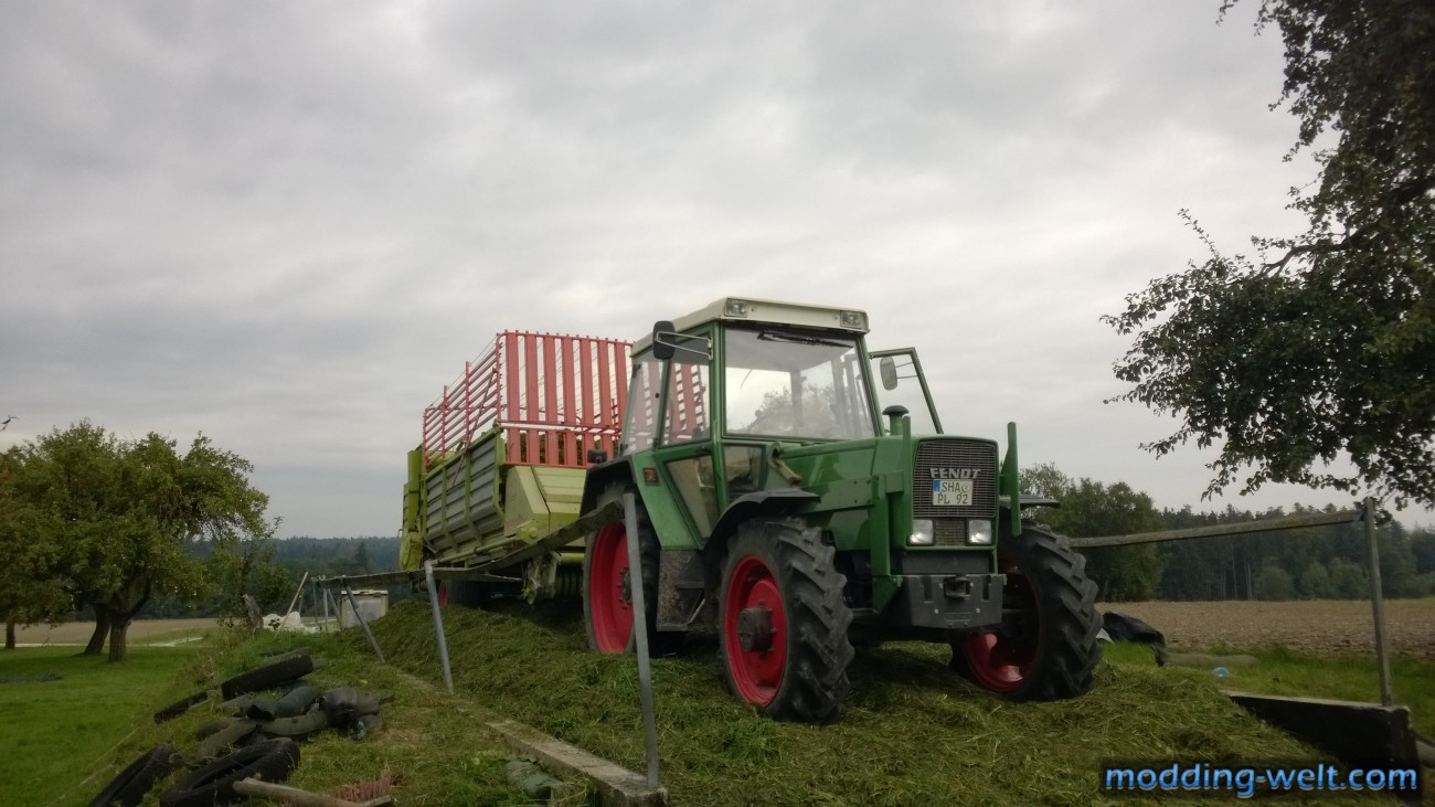 WP_20131004_001.jpg