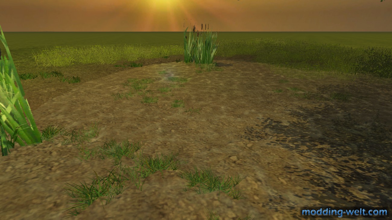 pic01.png