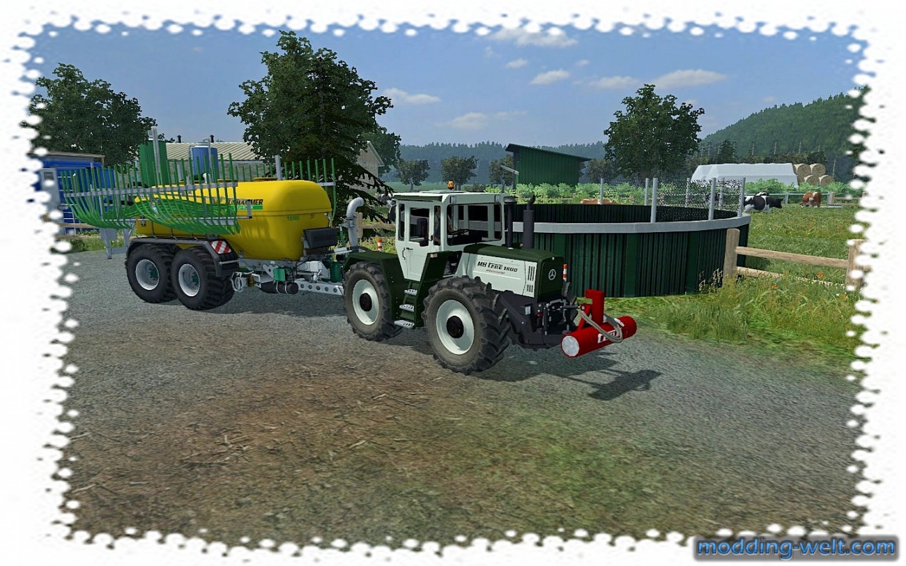 Silberdistel ohne MR