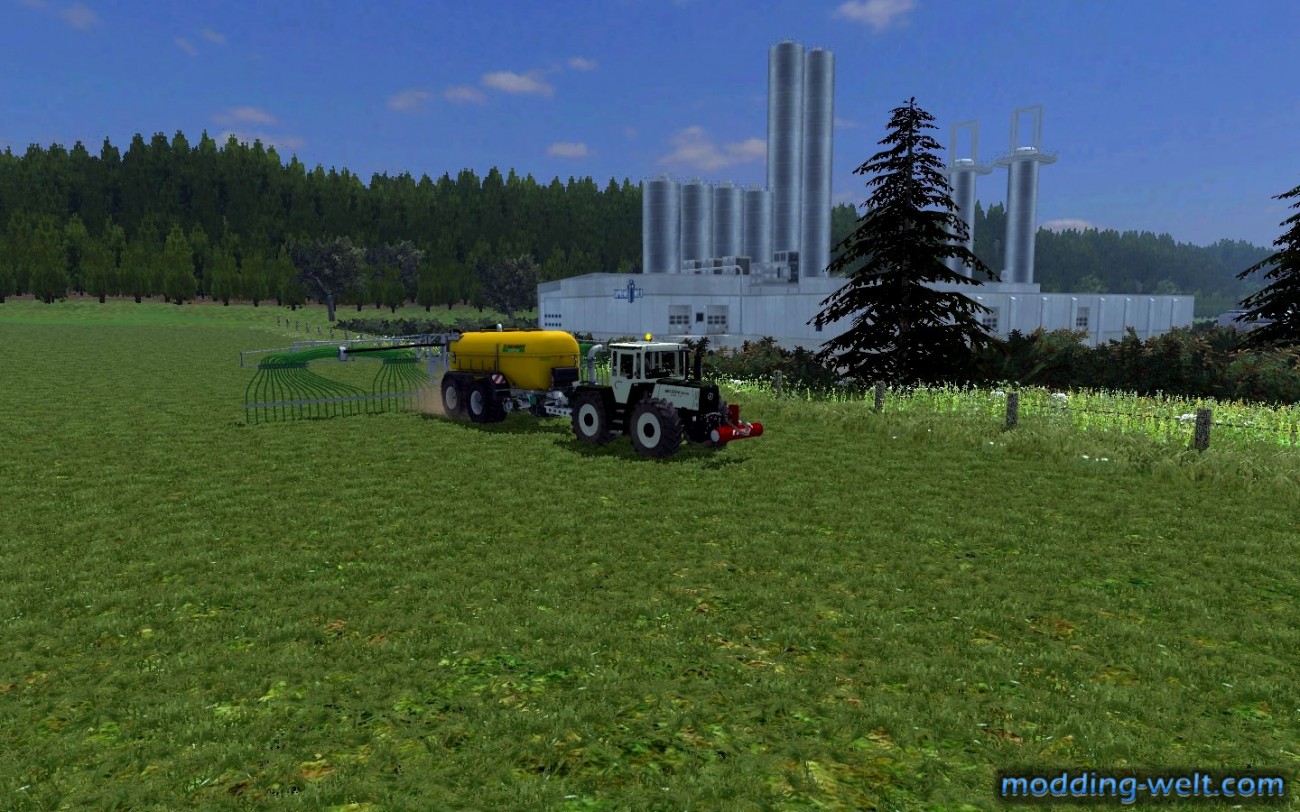Silberdistel ohne MR