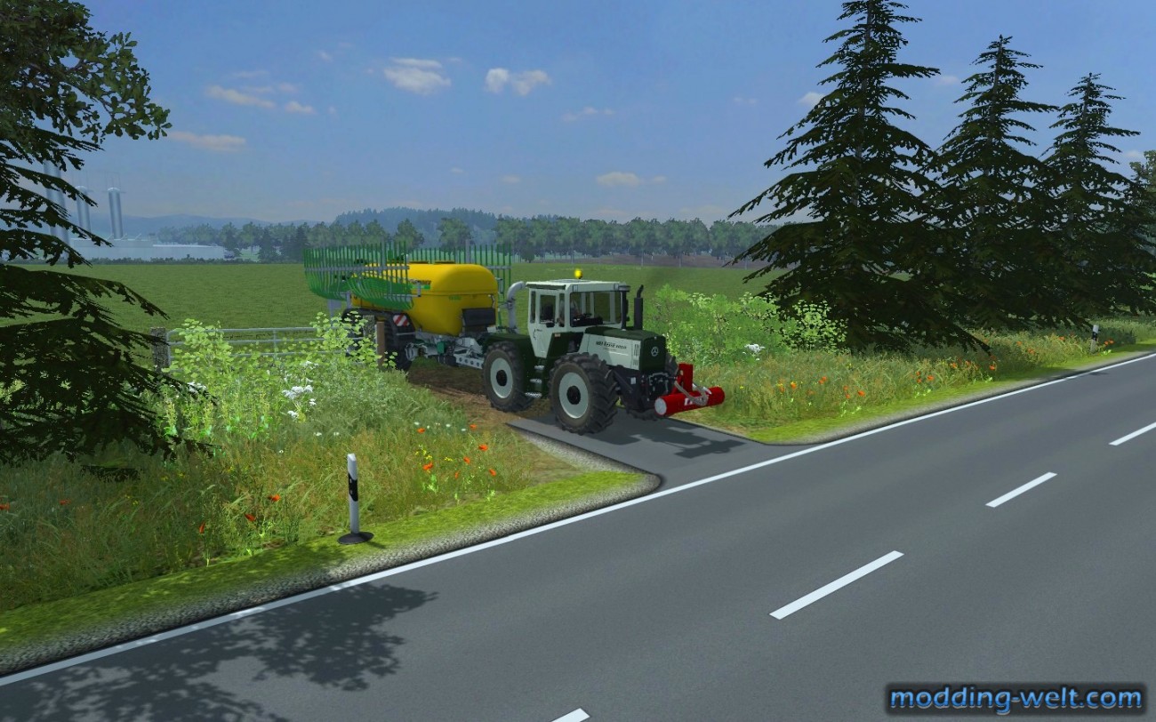 Silberdistel ohne MR