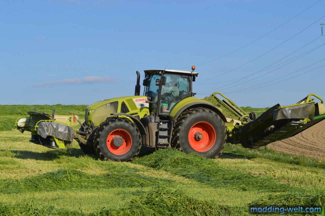 Claas Axion 940 beim Grünroggen mähen