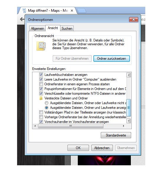 Ordneroption