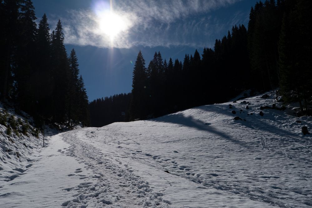 Ammergauer Alpen