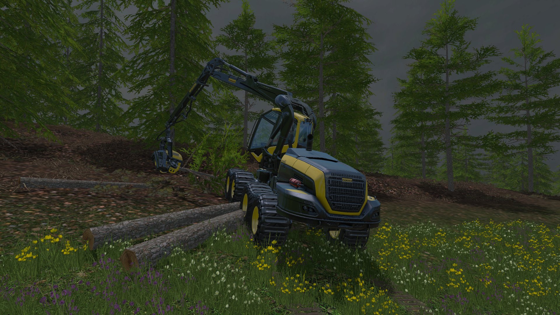 Ab ins Holz