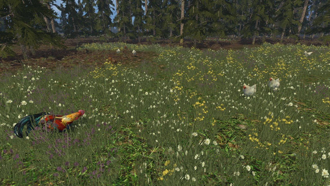 Tiere in der Schweinebucht