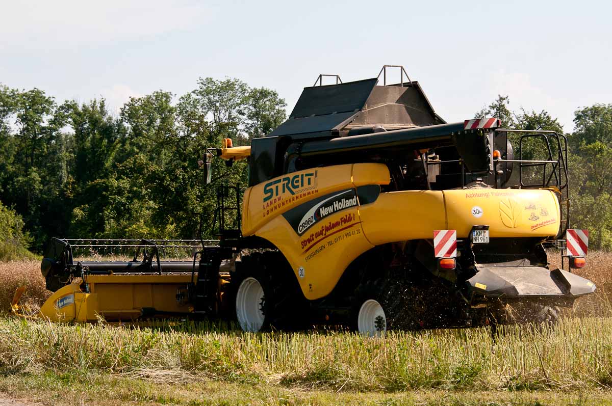 CR 960 beim Rapsdrusch 2014