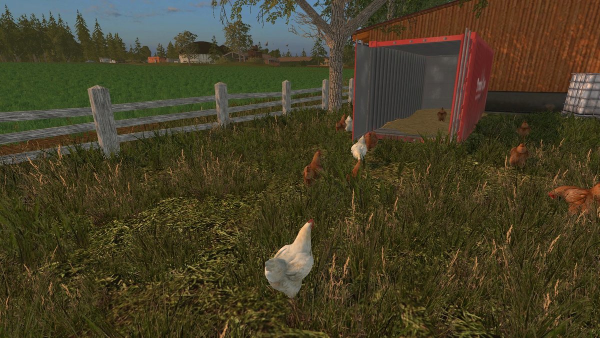 Neue Hühnerstall