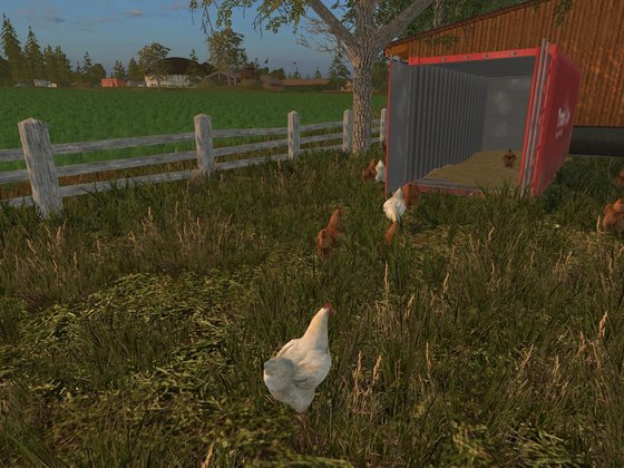Neue Hühnerstall