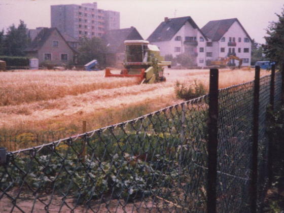 Berlin/Rudow 1987