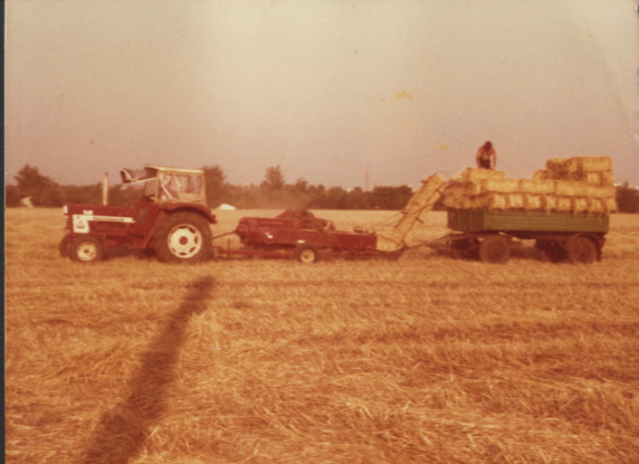 ca. 1976, heute ist die Buga dort