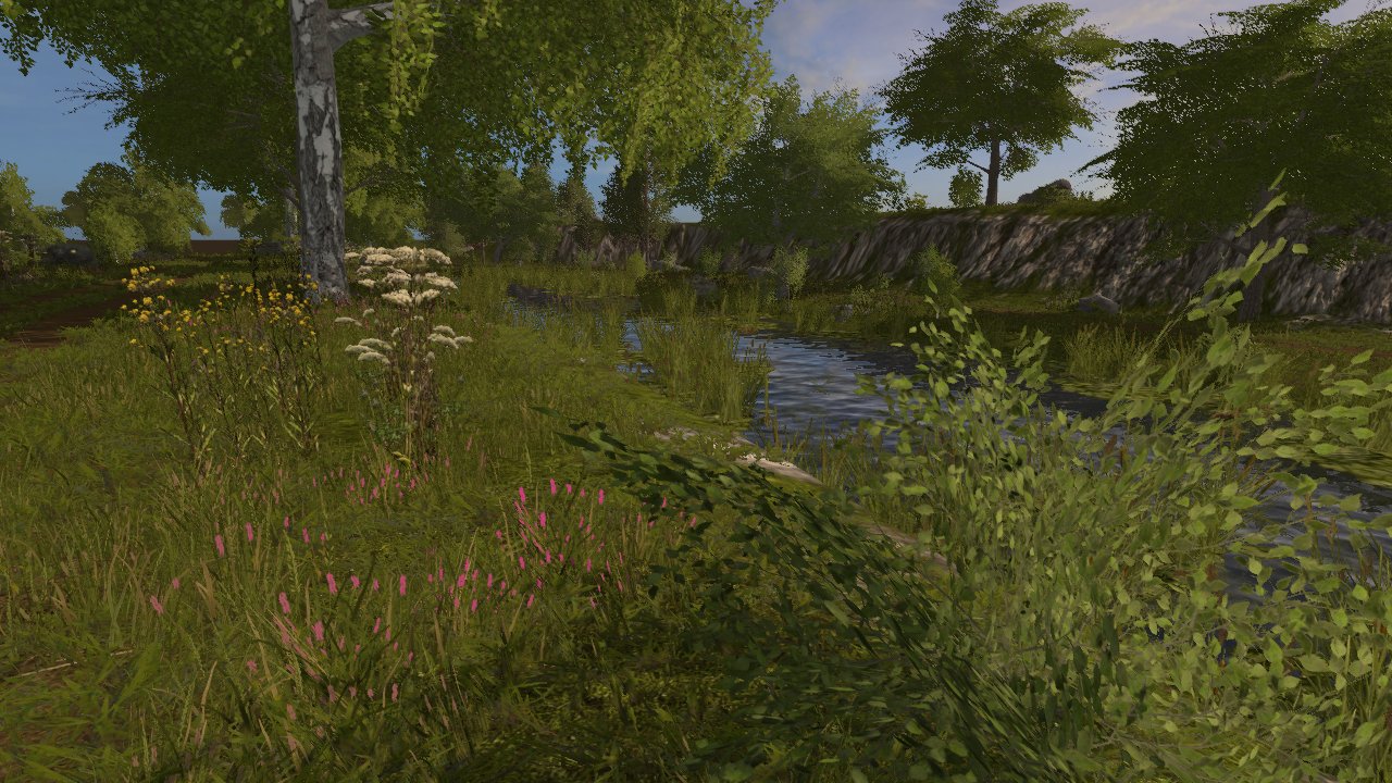 New one FS17
