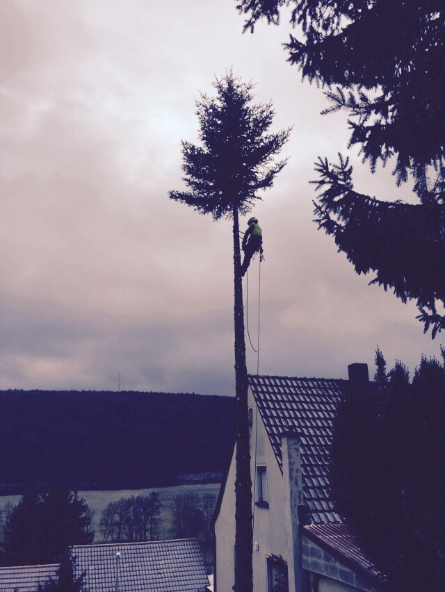 Arbeit ^^