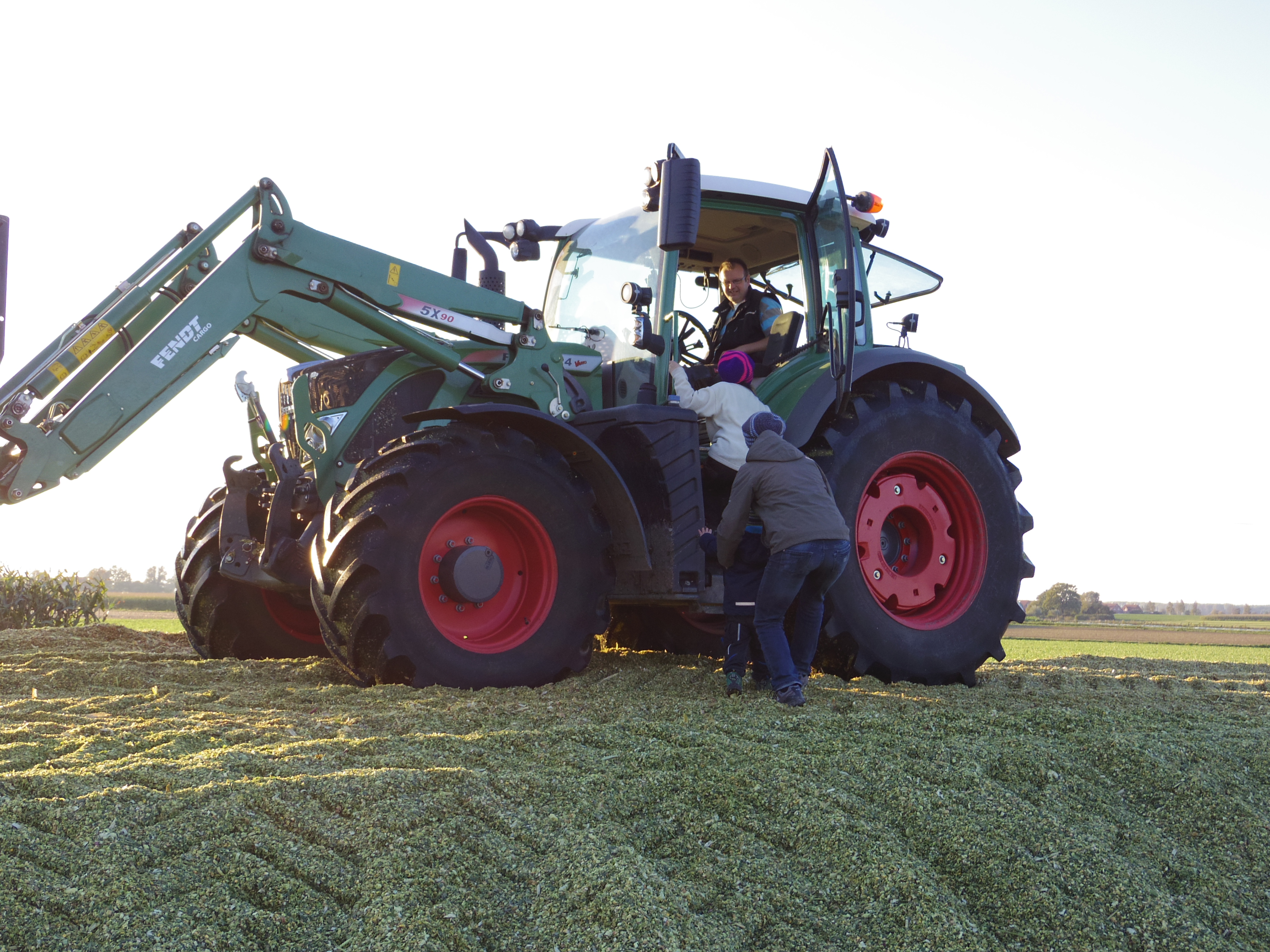 Silage 2015 Freilandsilo