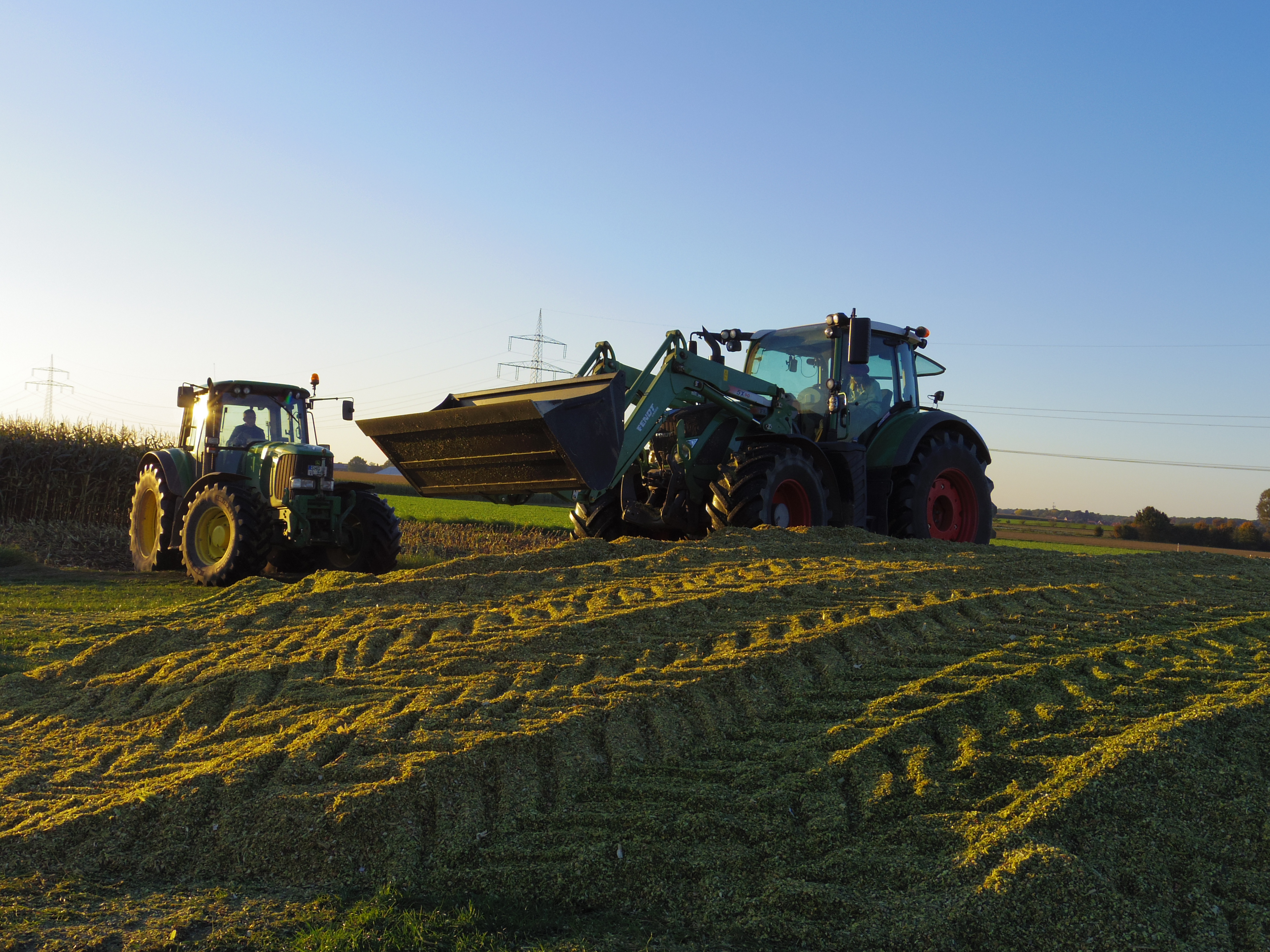 Silage 2015 Freilandsilo