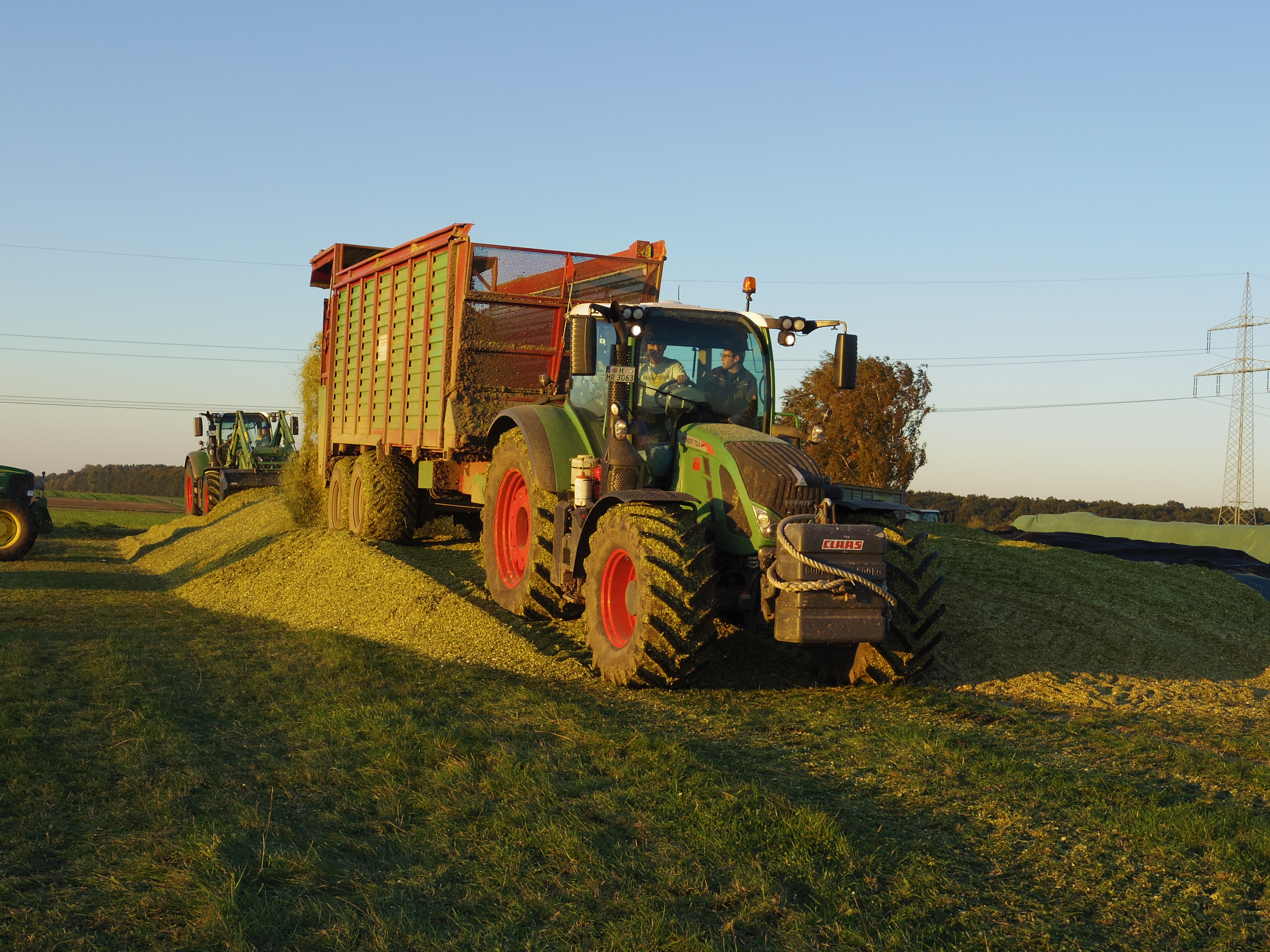 Silage 2015 Freilandsilo