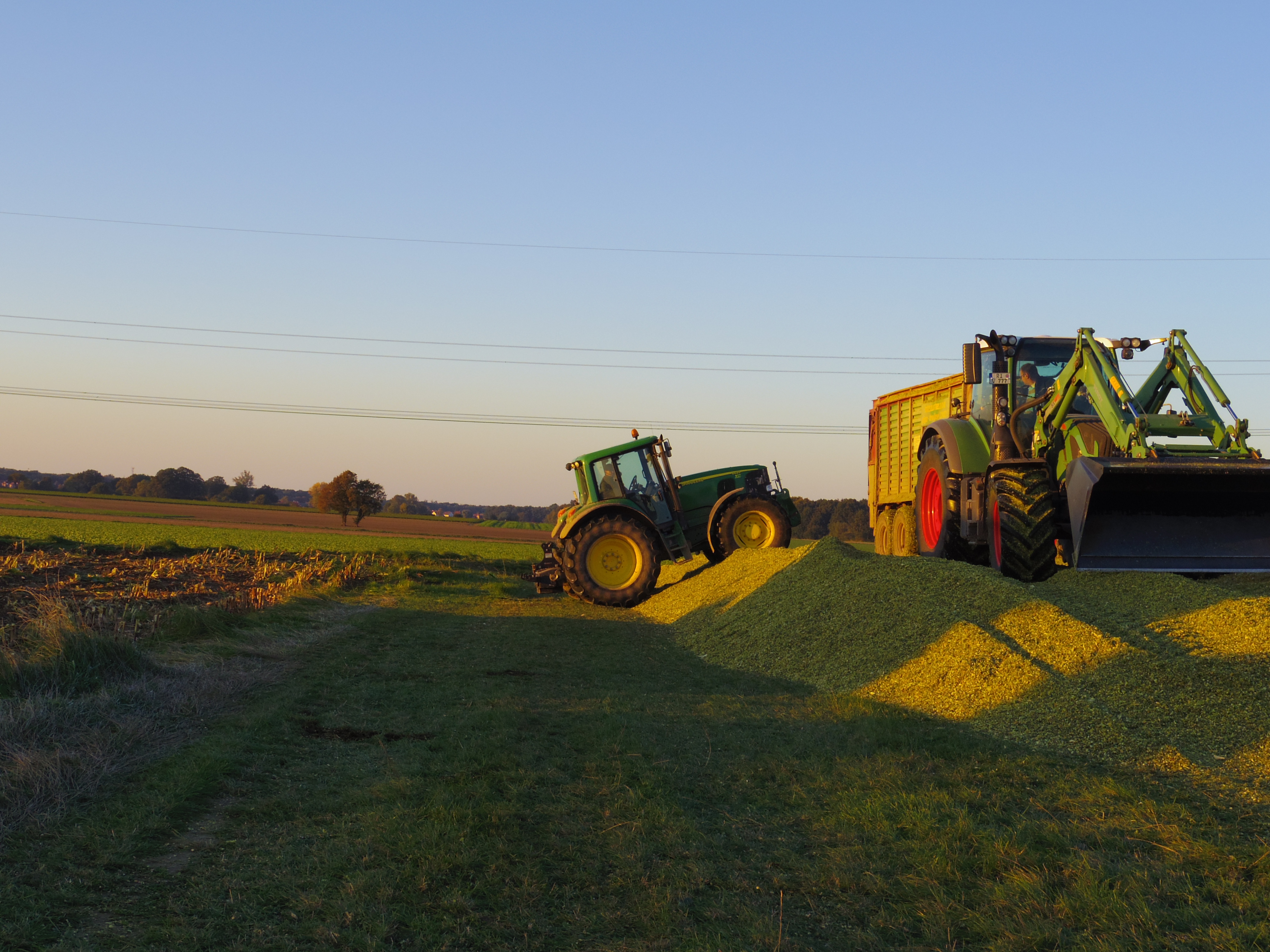 Silage 2015 Freilandsilo