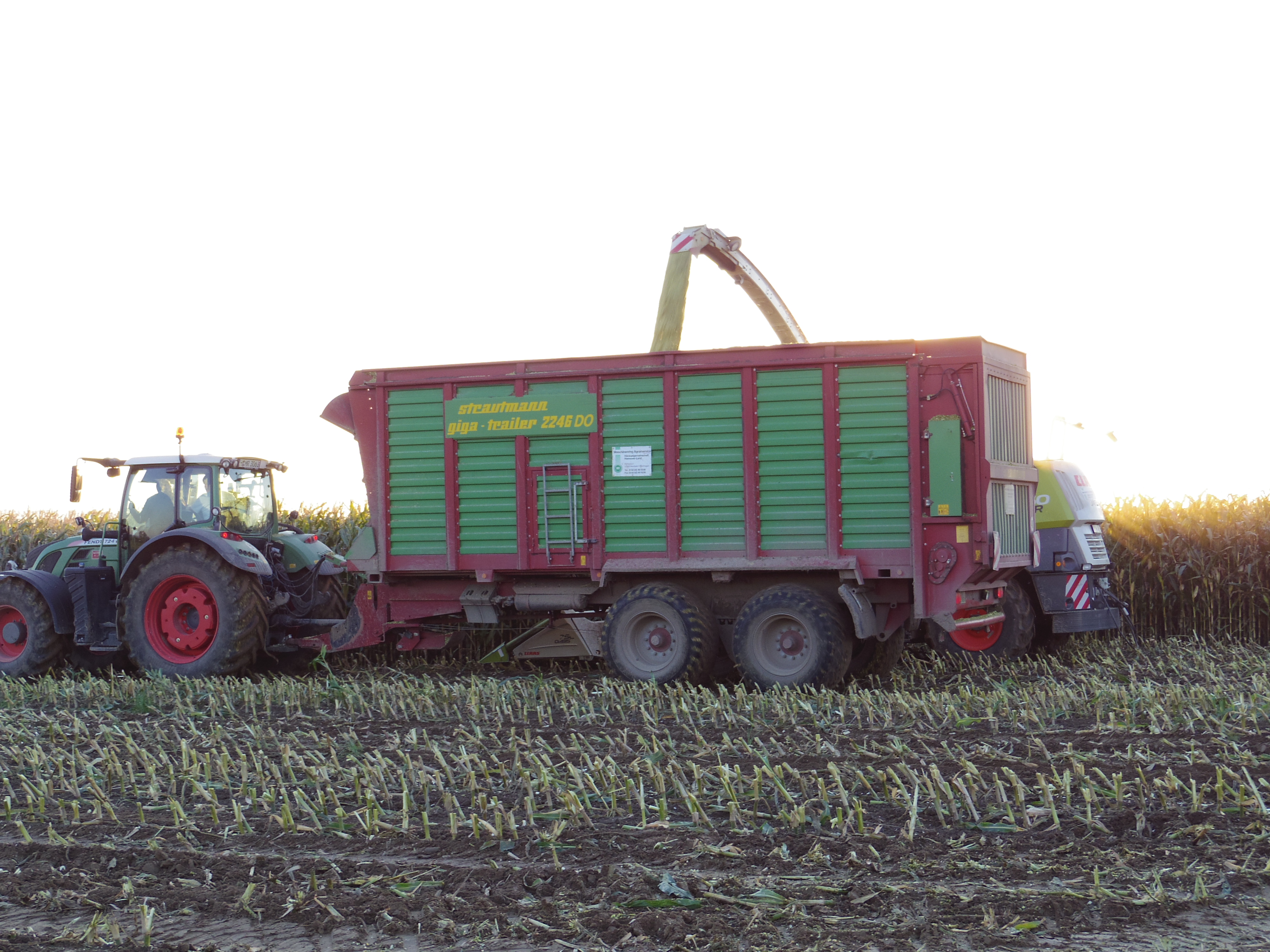 Silage 2015 Freilandsilo