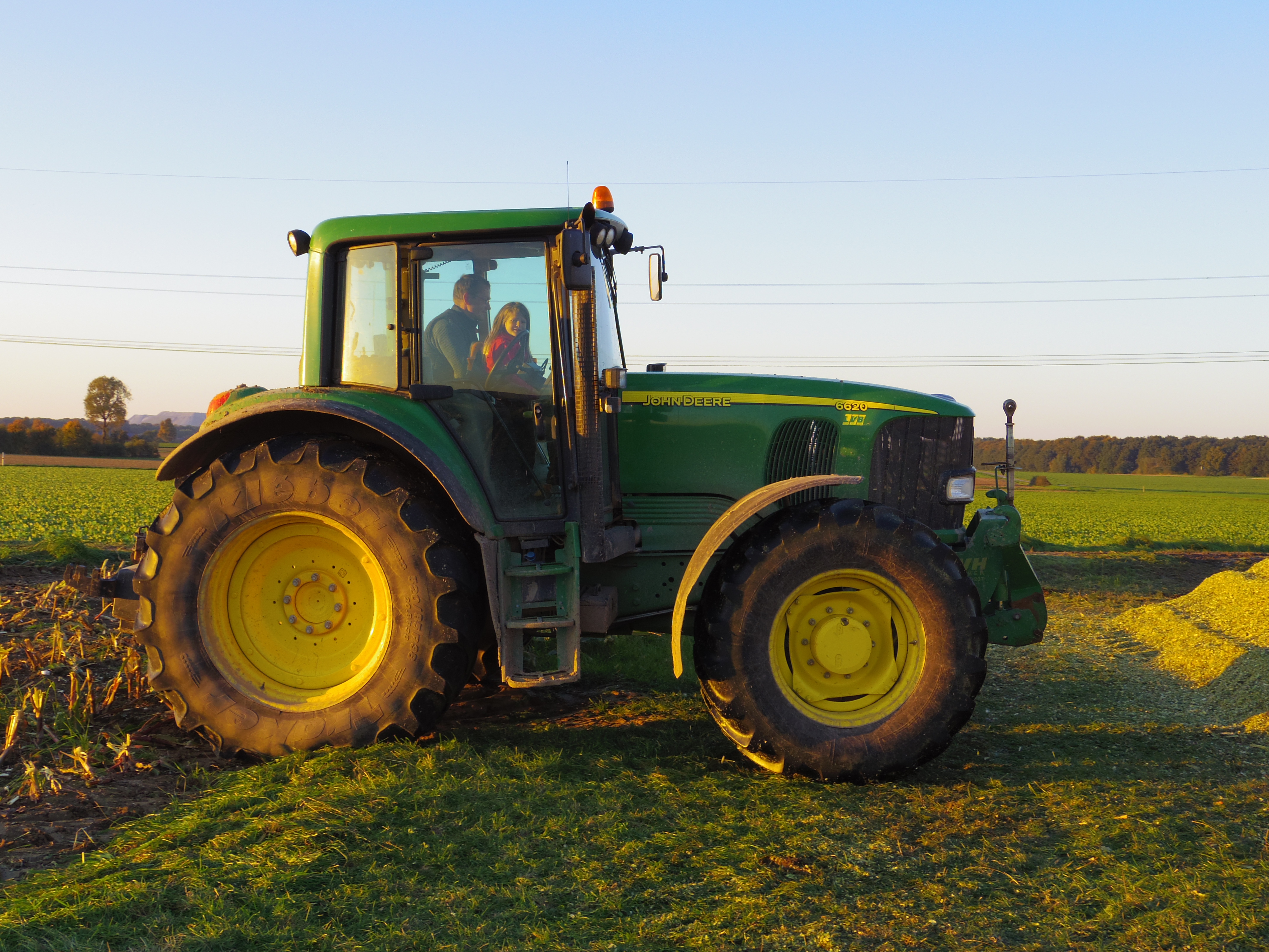 Silage 2015 Freilandsilo