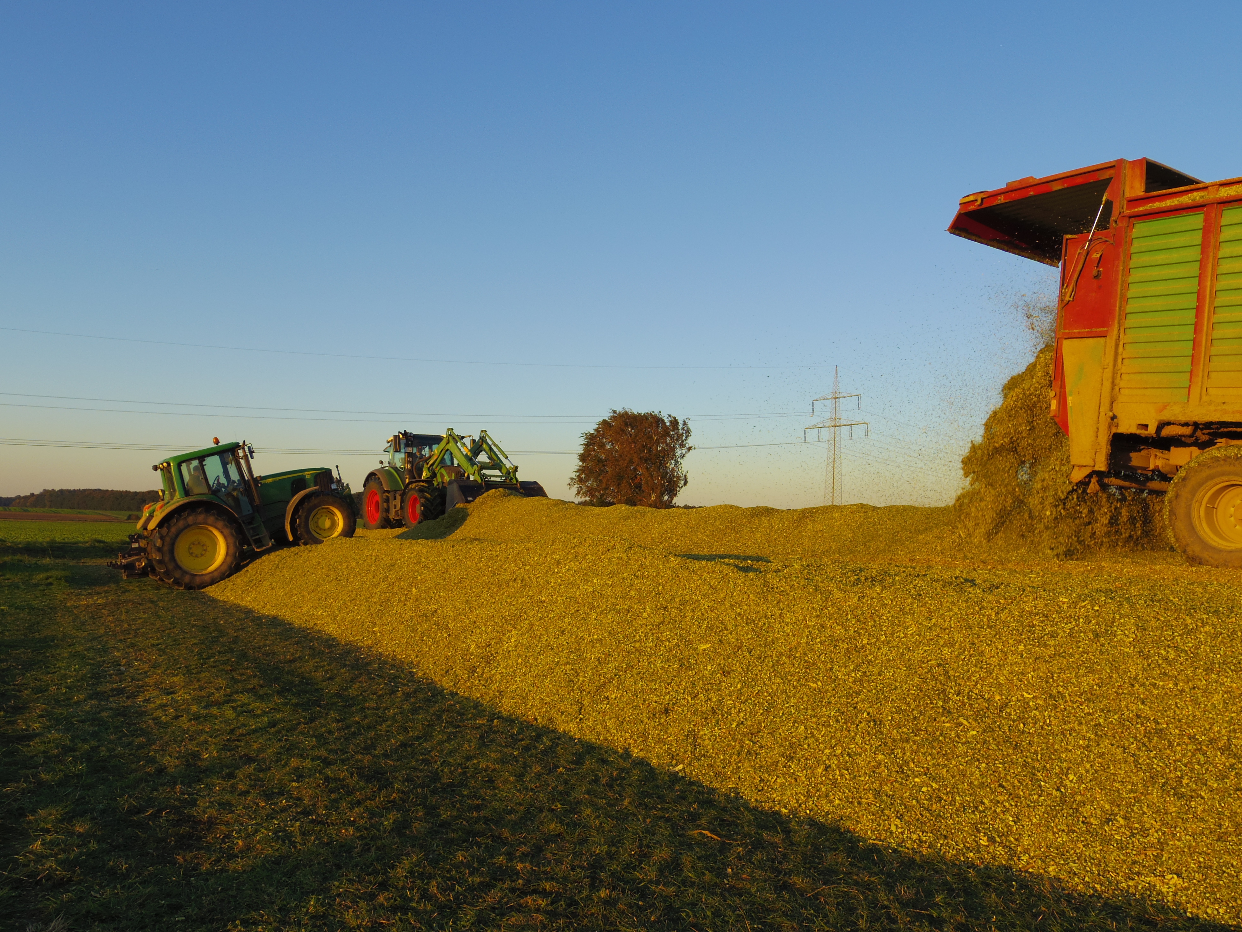 Silage 2015 Freilandsilo