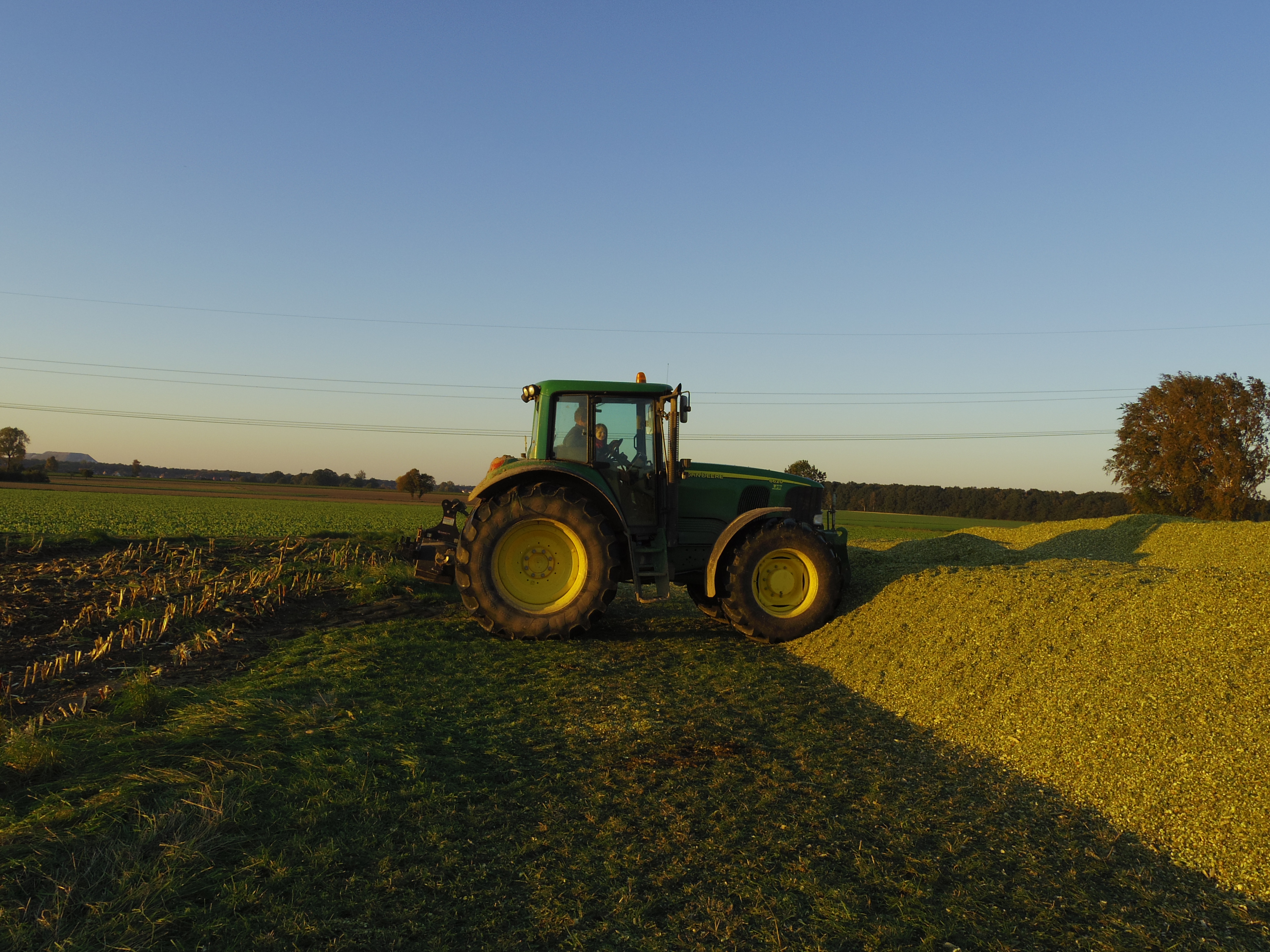 Silage 2015 Freilandsilo