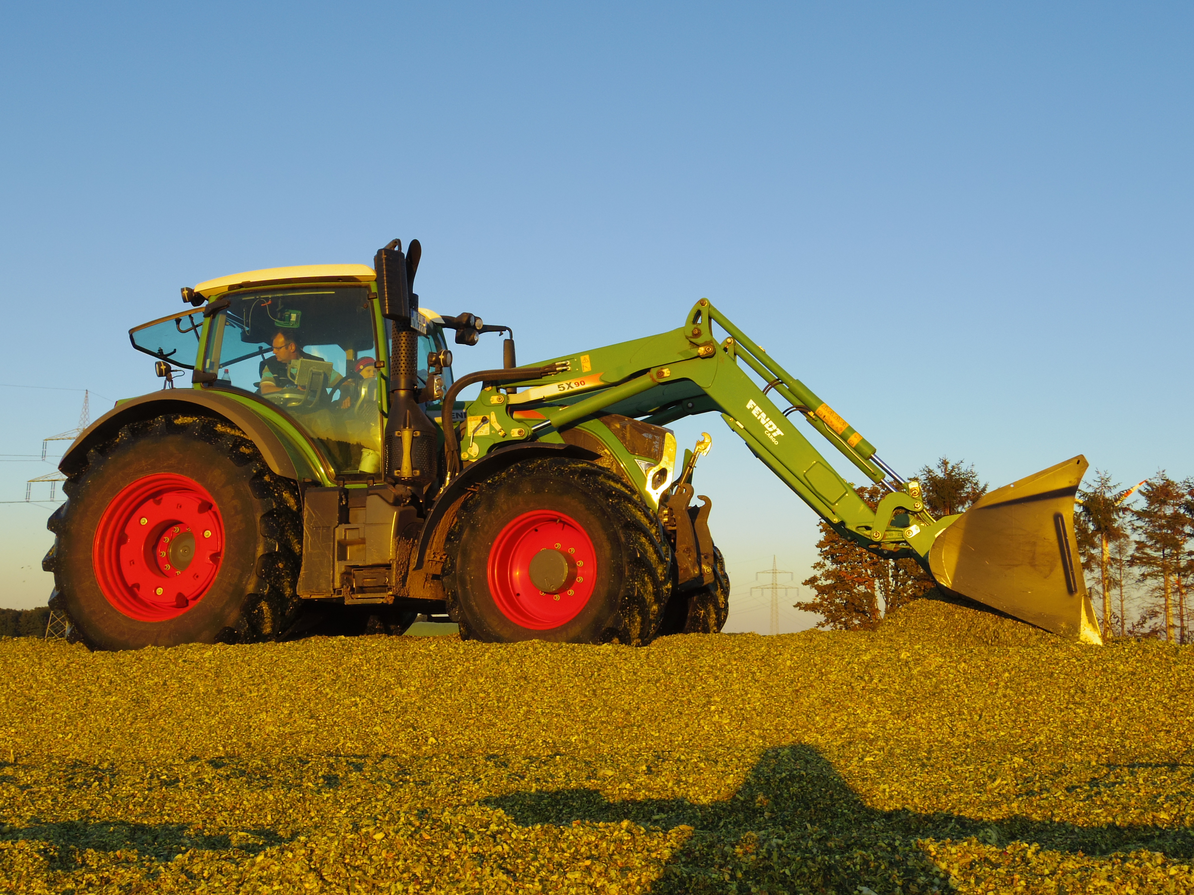 Silage 2015 Freilandsilo