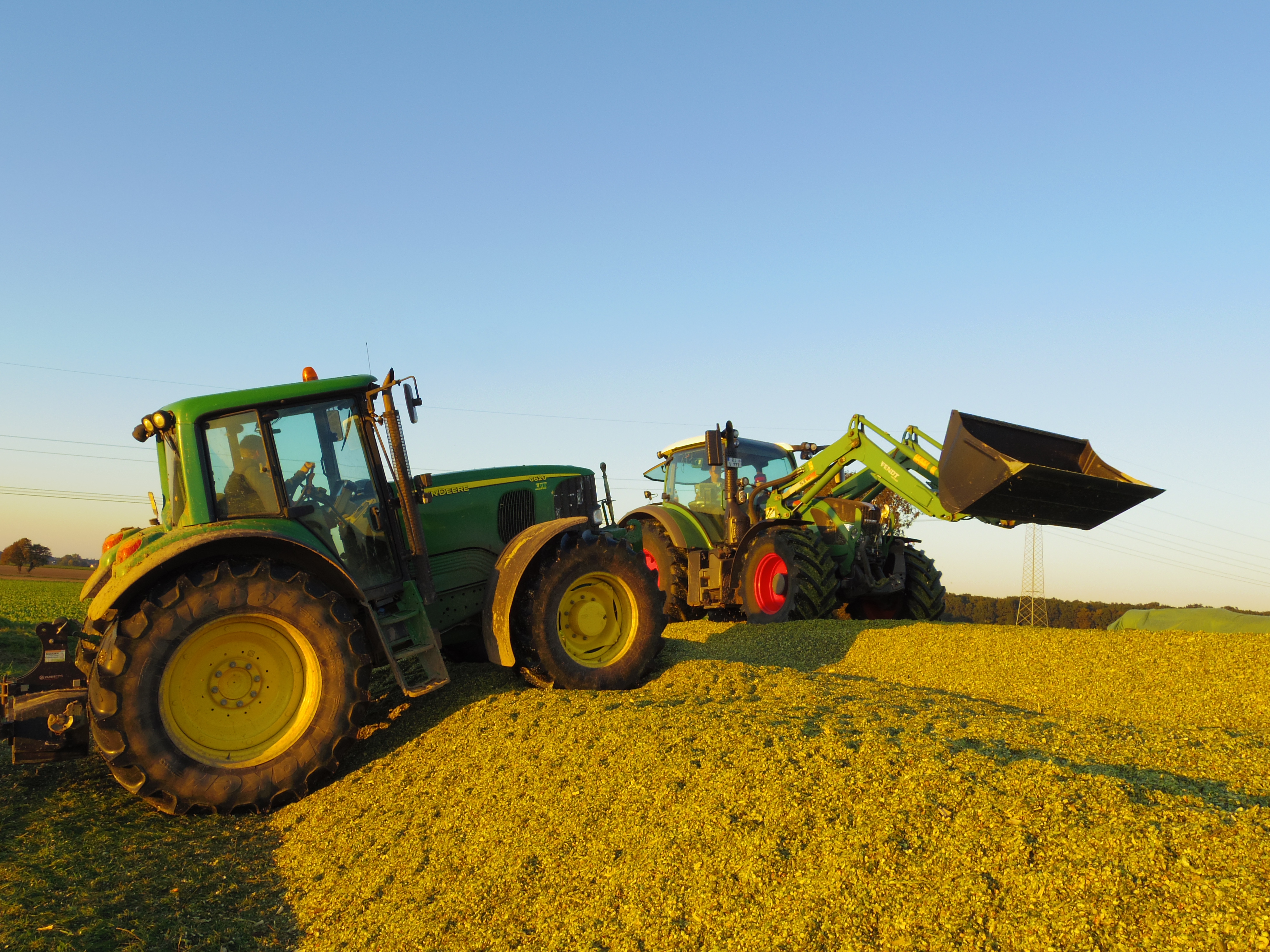 Silage 2015 Freilandsilo
