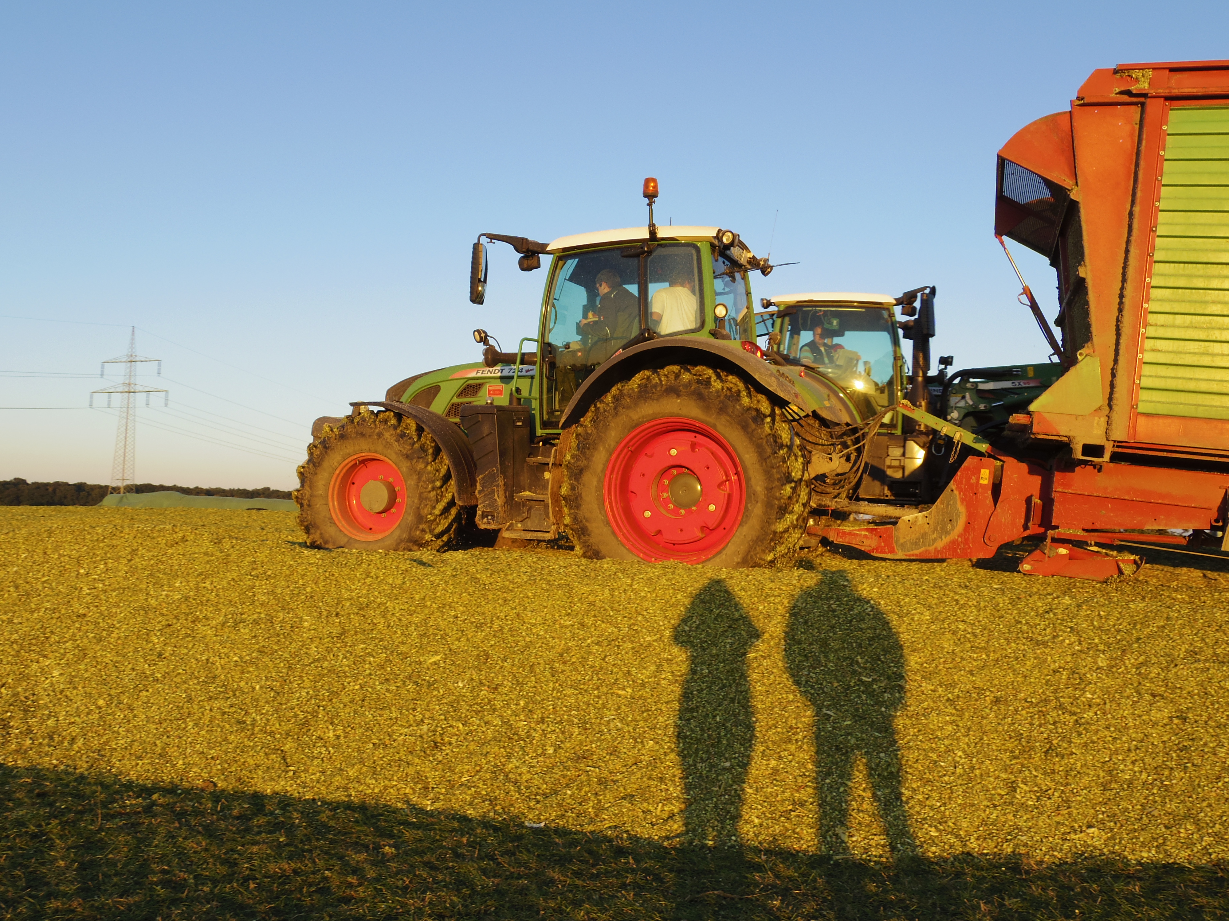 Silage 2015 Freilandsilo