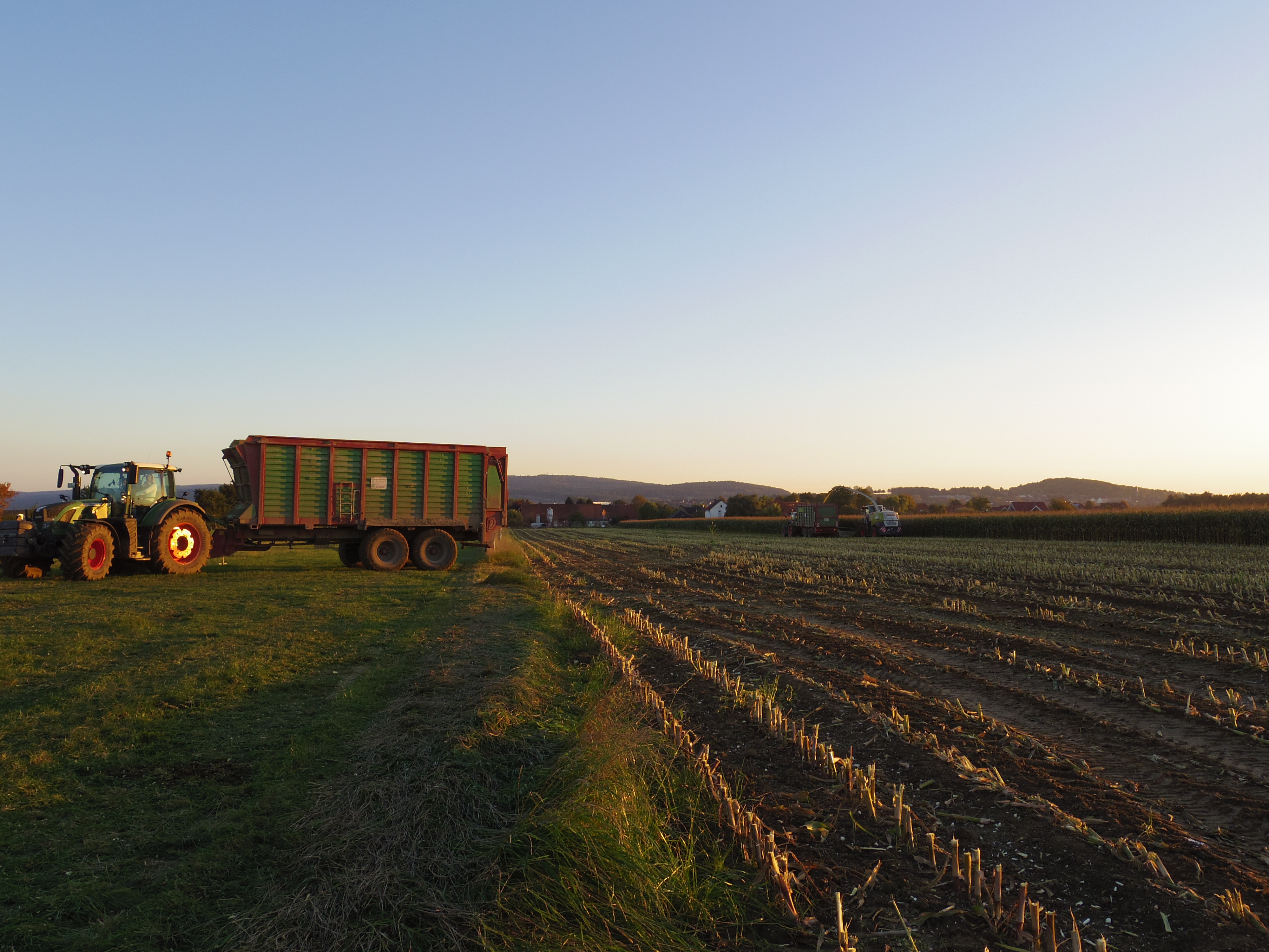 Silage 2015 Freilandsilo