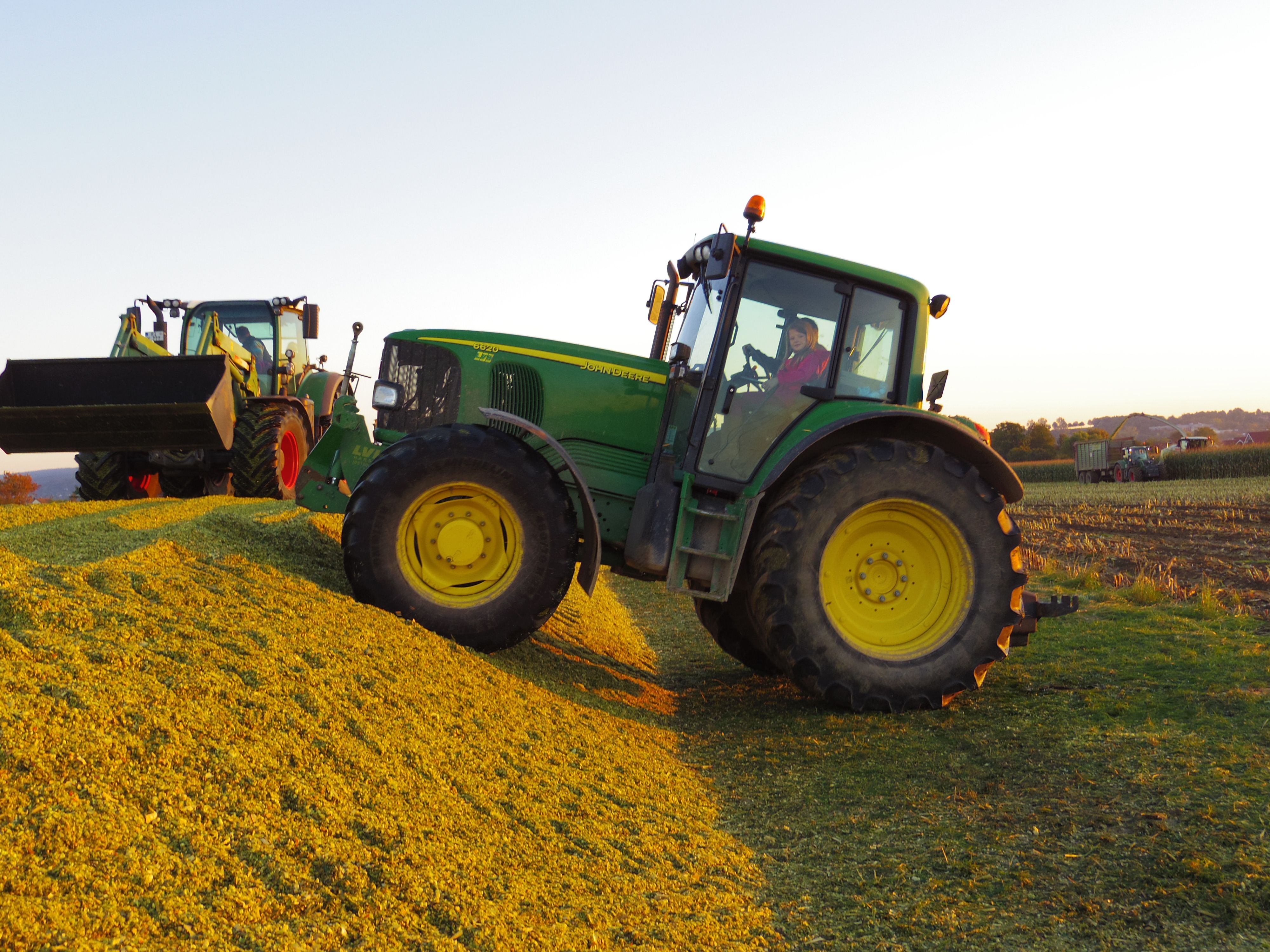 Silage 2015 Freilandsilo