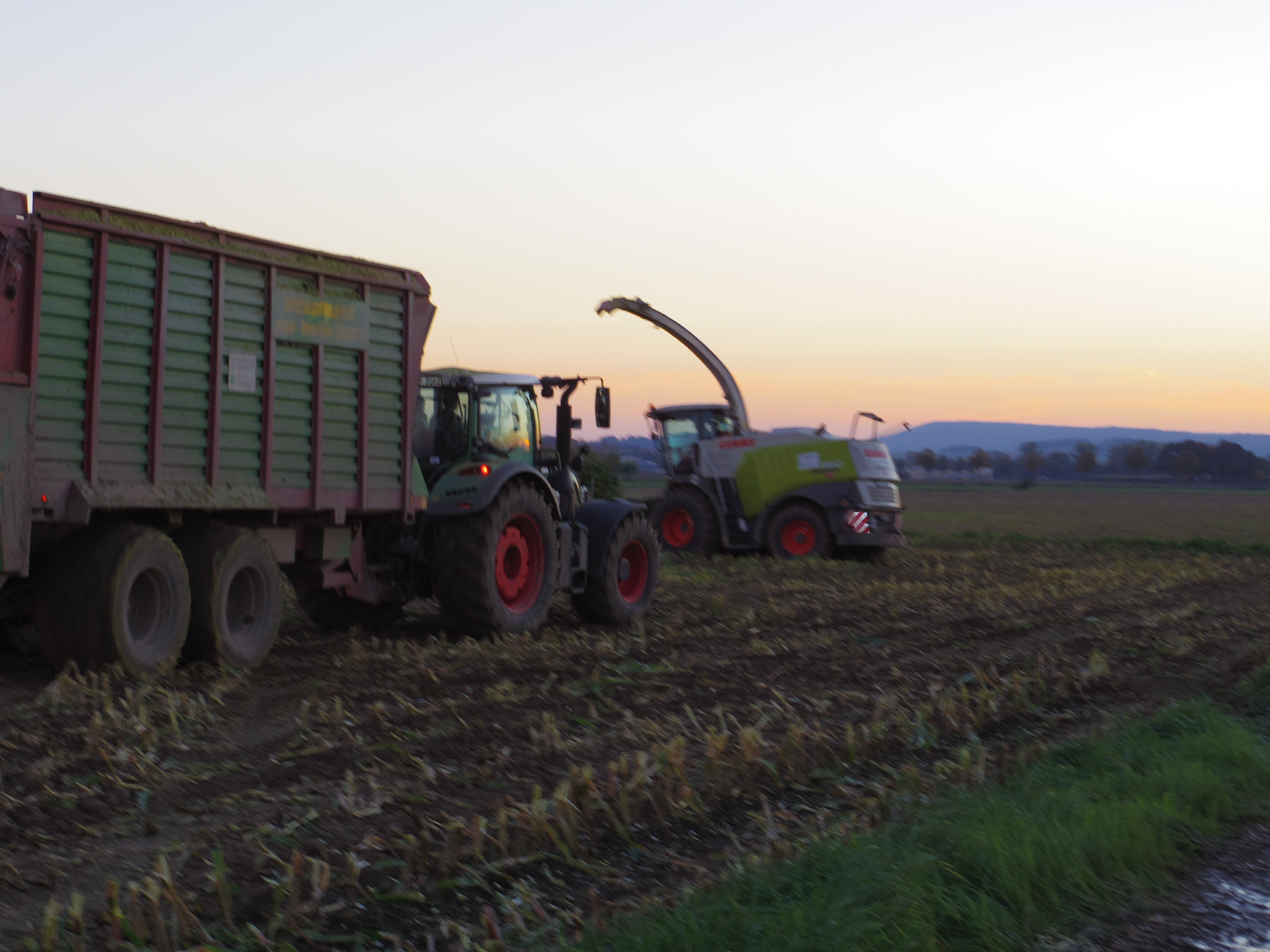 Silage 2015 Freilandsilo