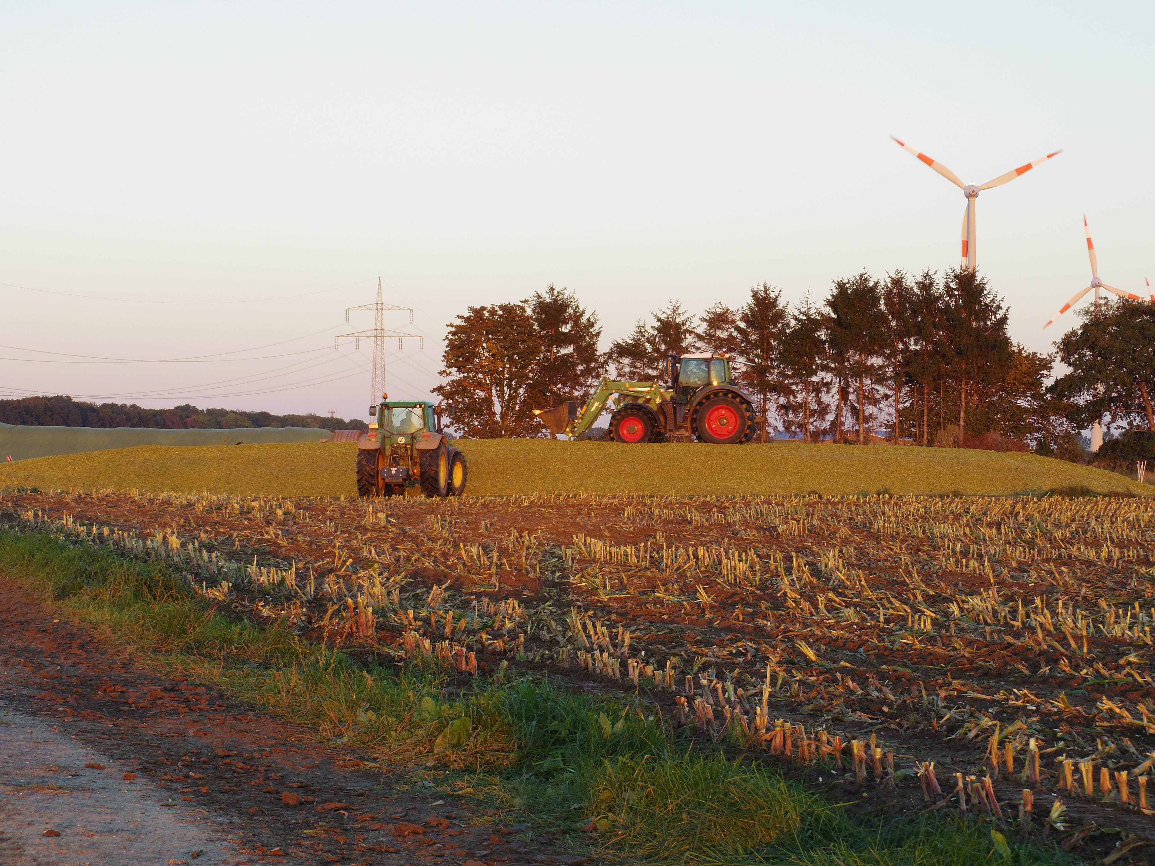 Silage 2015 Freilandsilo
