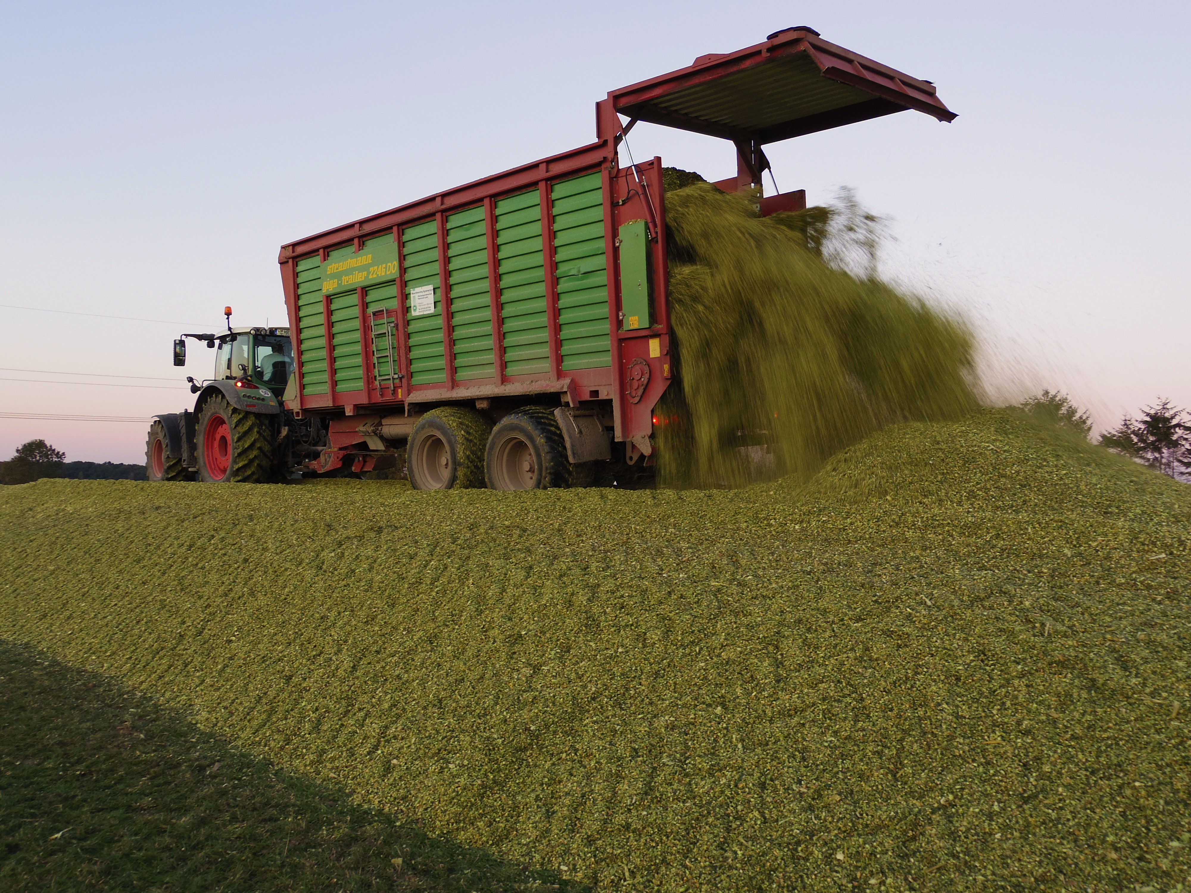 Silage 2015 Freilandsilo