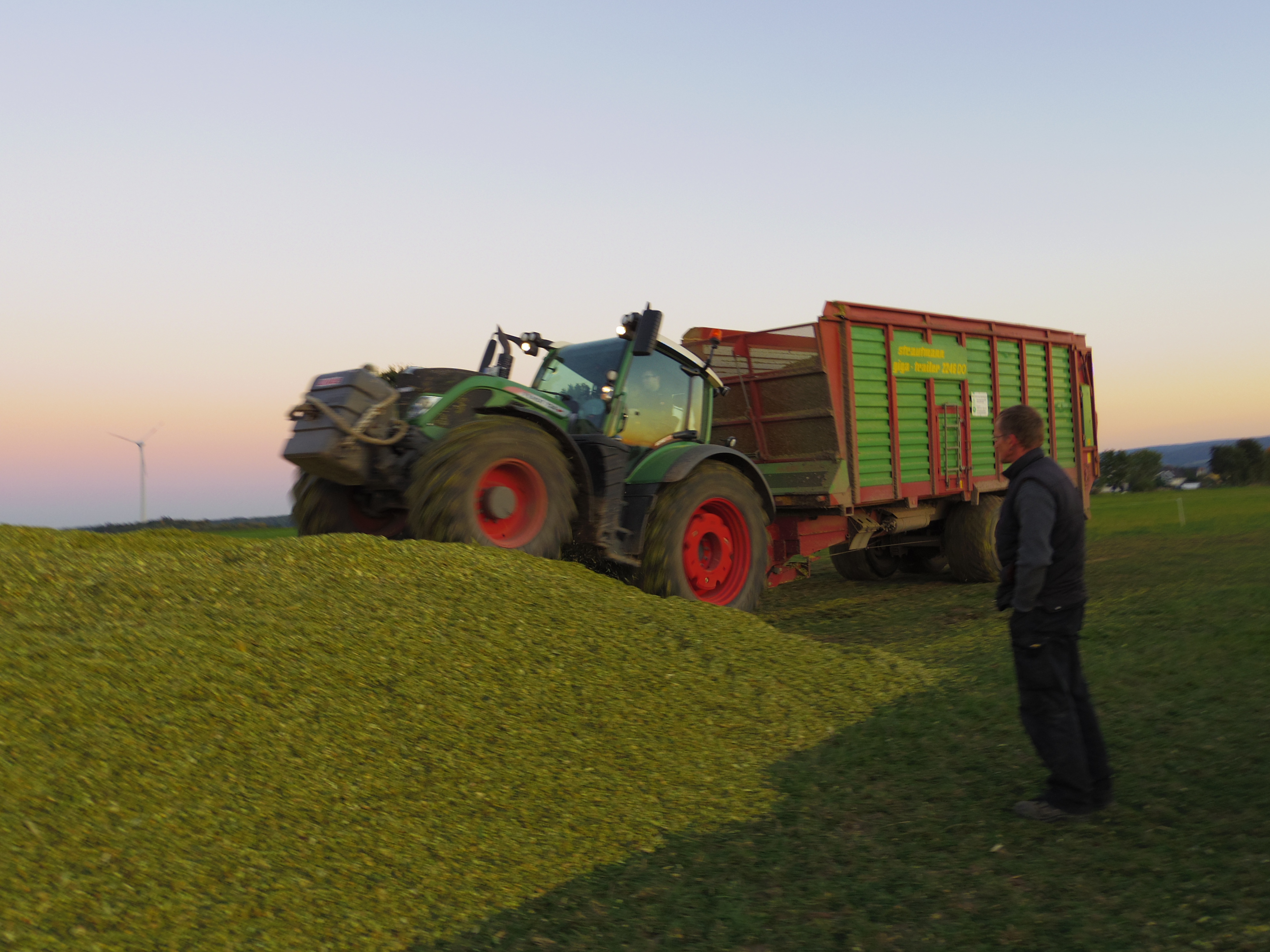 Silage 2015 Freilandsilo