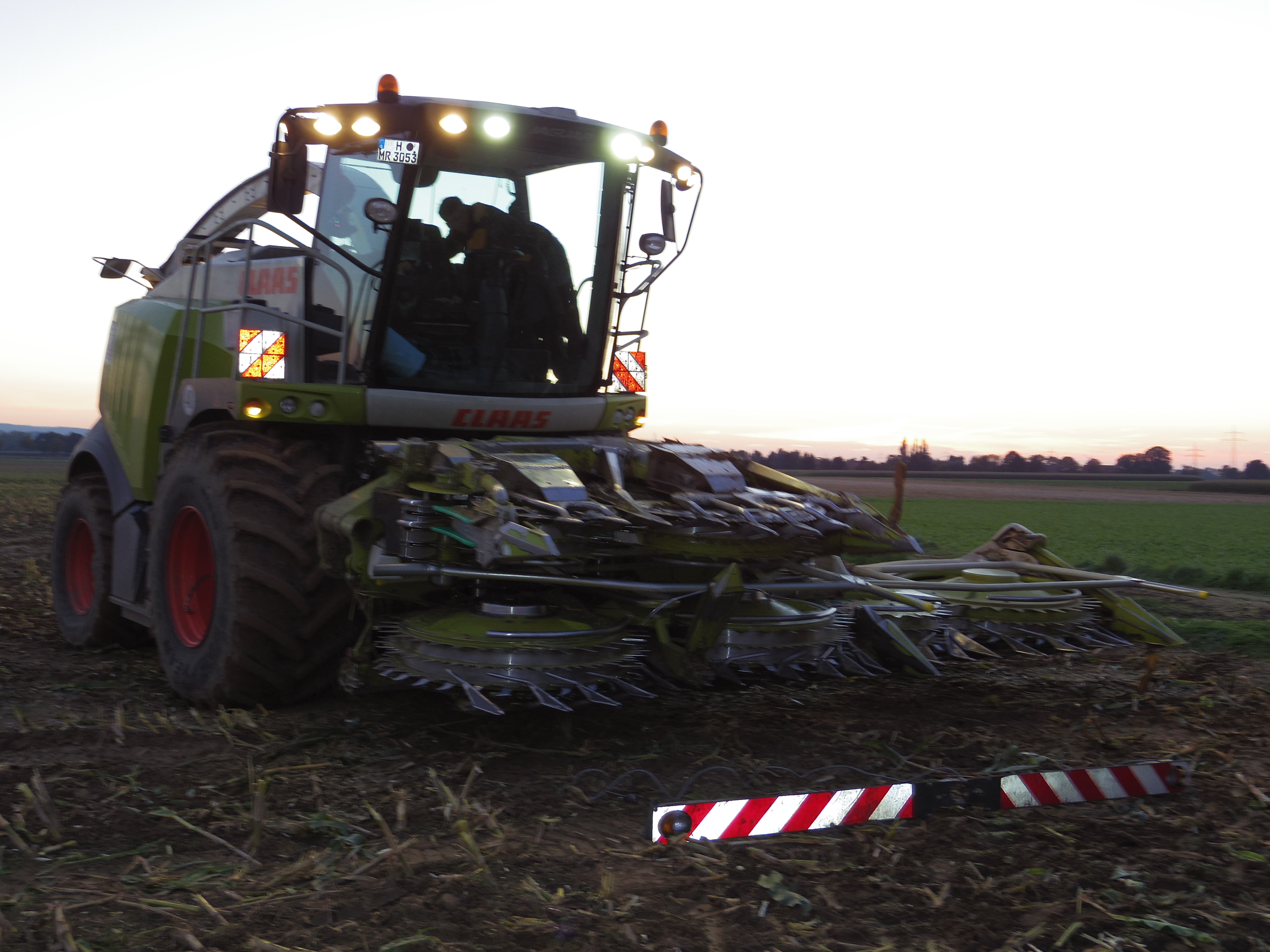 Silage 2015 Freilandsilo