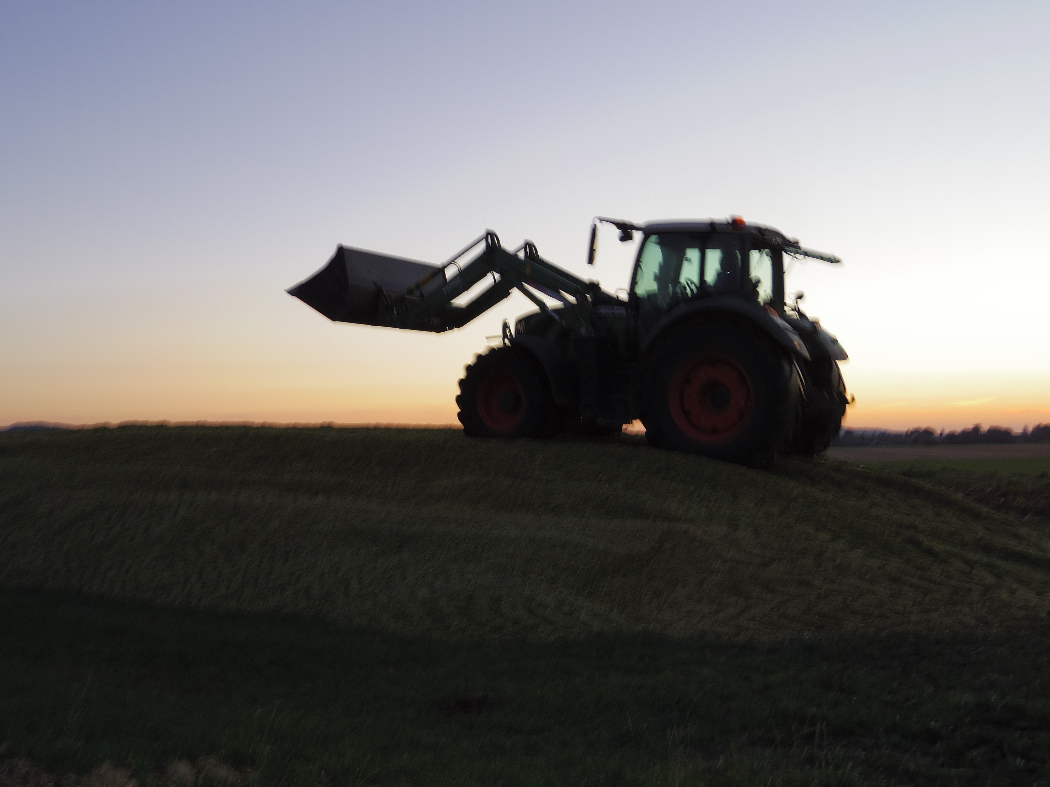Silage 2015 Freilandsilo