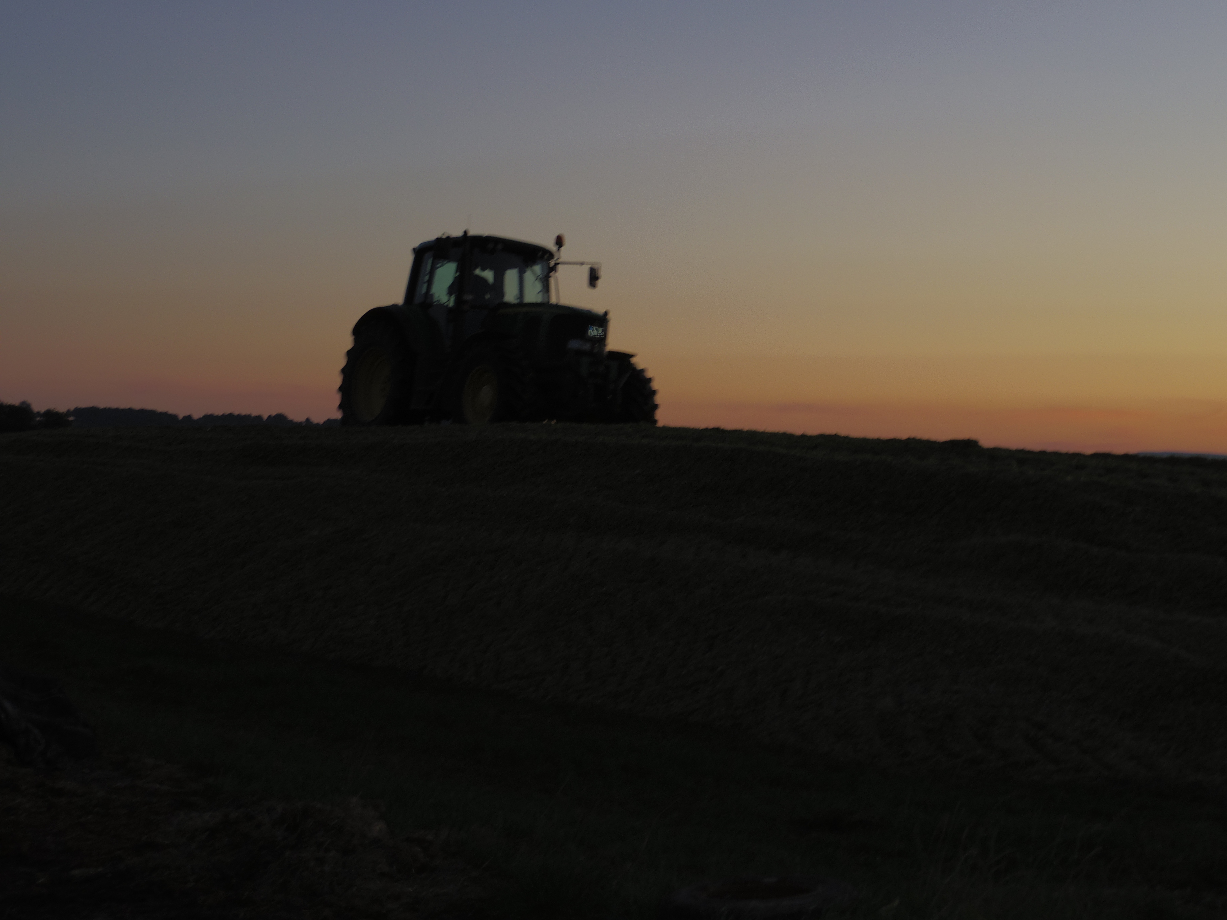 Silage 2015 Freilandsilo