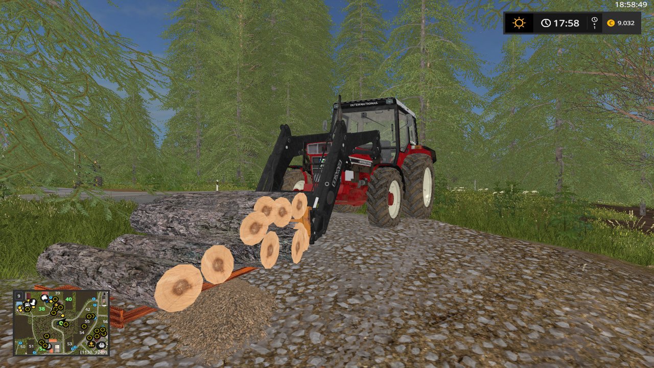 Beim Holz laden
