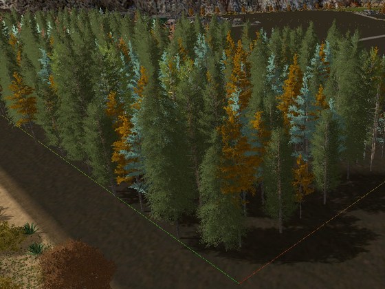 bäume setzten
