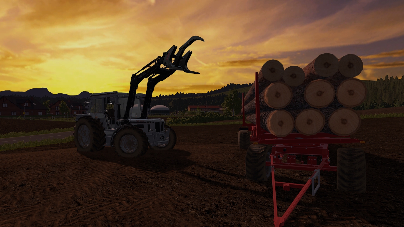 Unterwegs im Forst