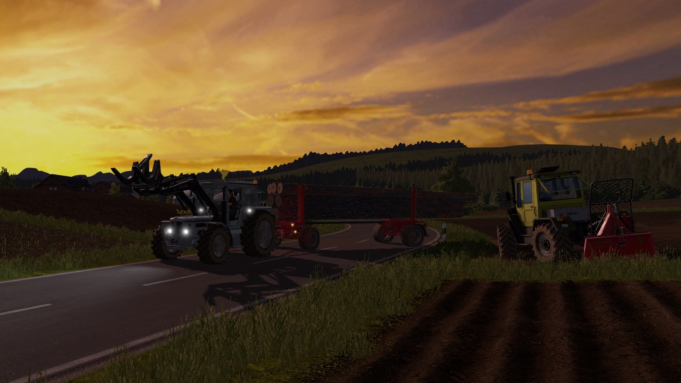Unterwegs im Forst
