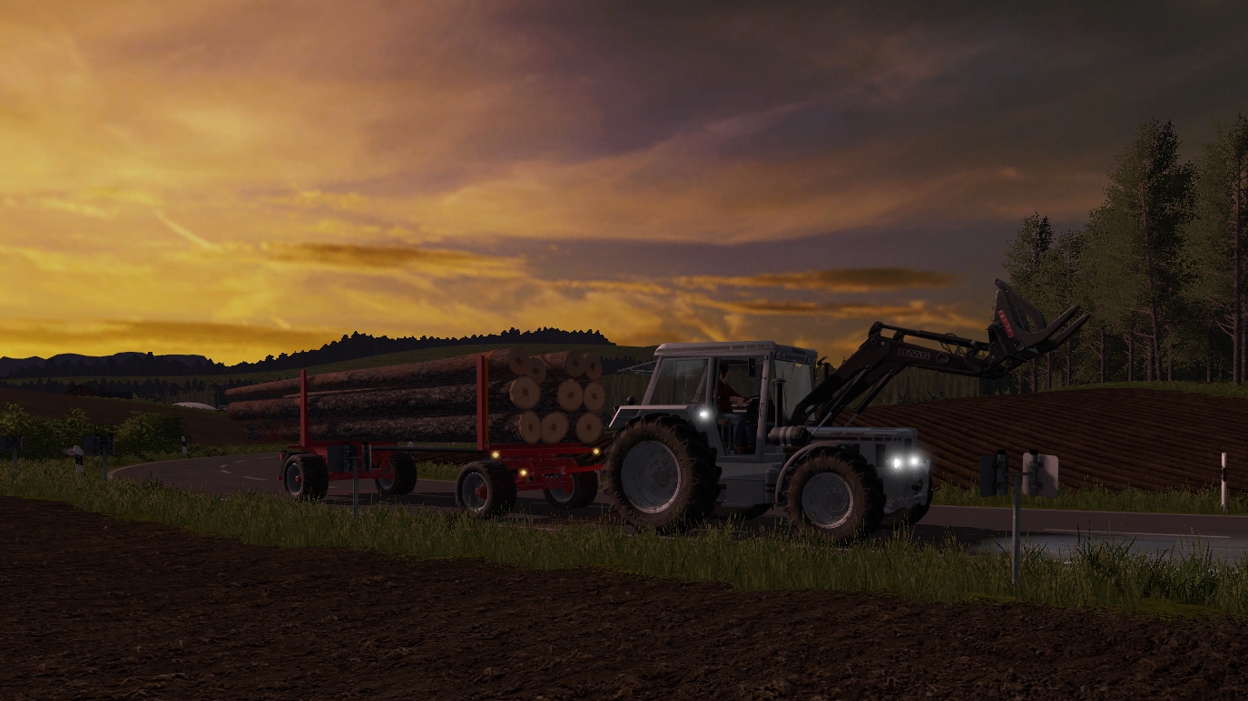 Unterwegs im Forst