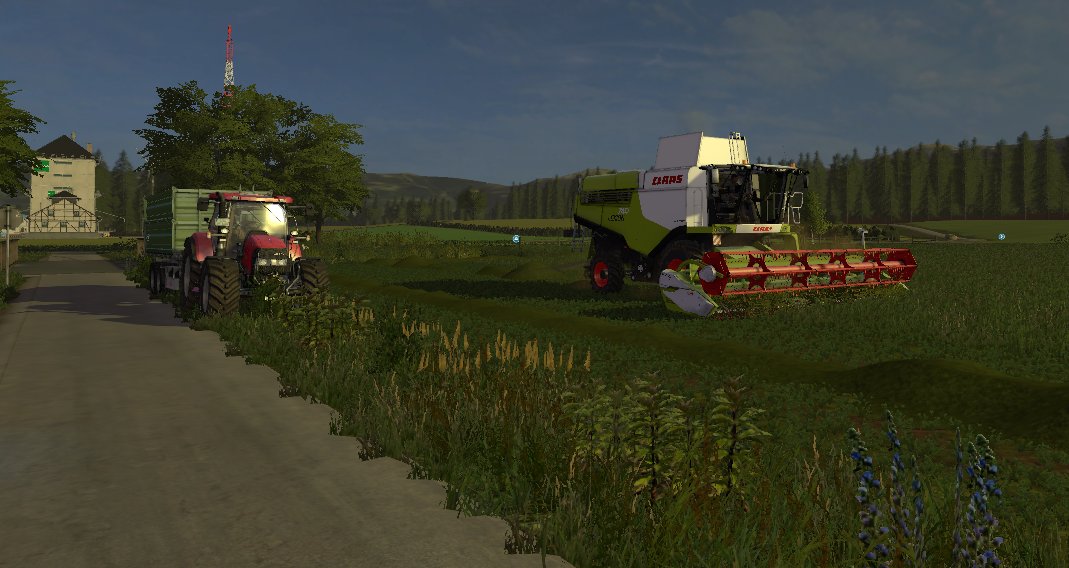 Grassamen produzieren in Kleinseelheim
