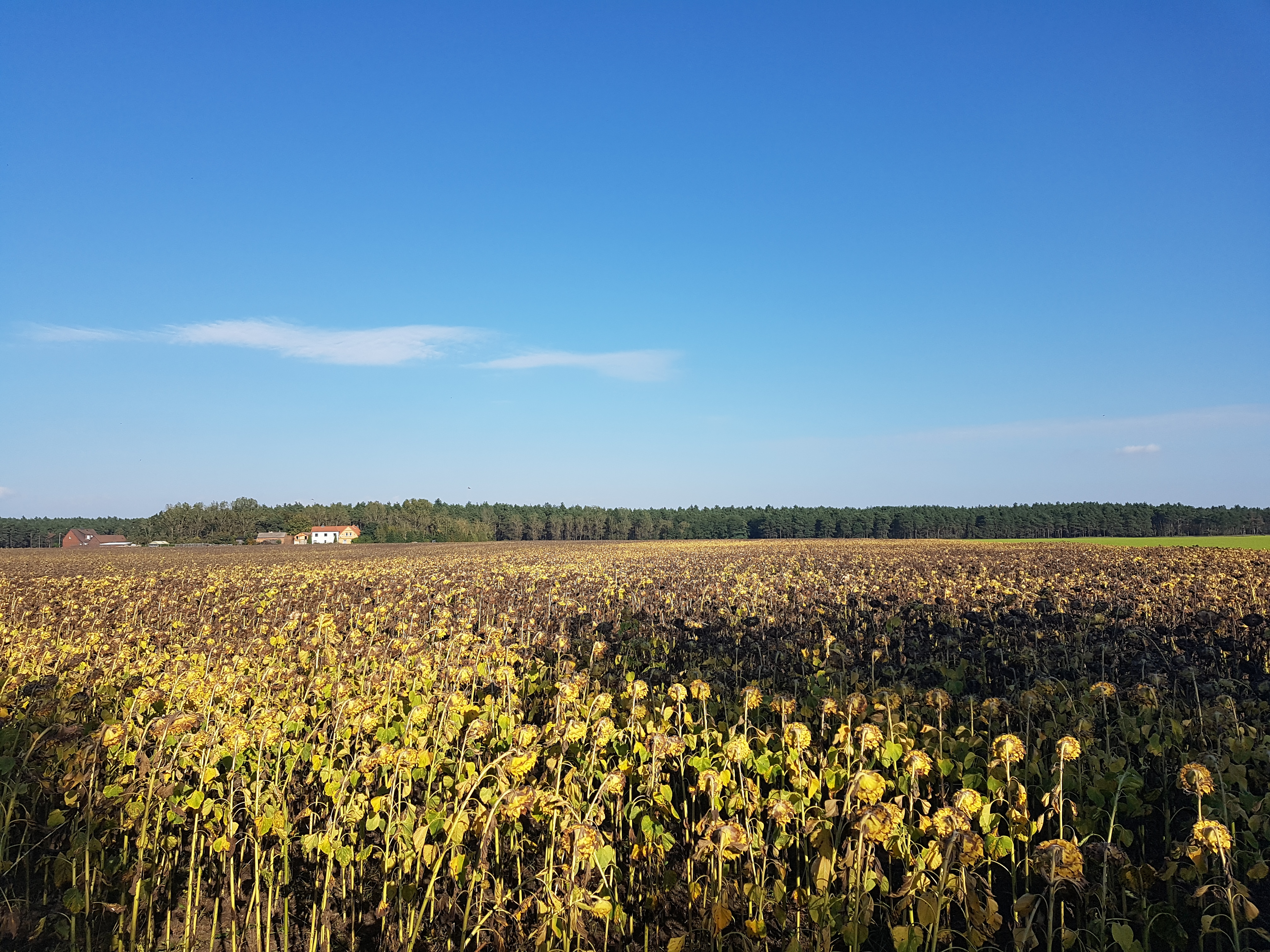 Unterwegs um Großräschen