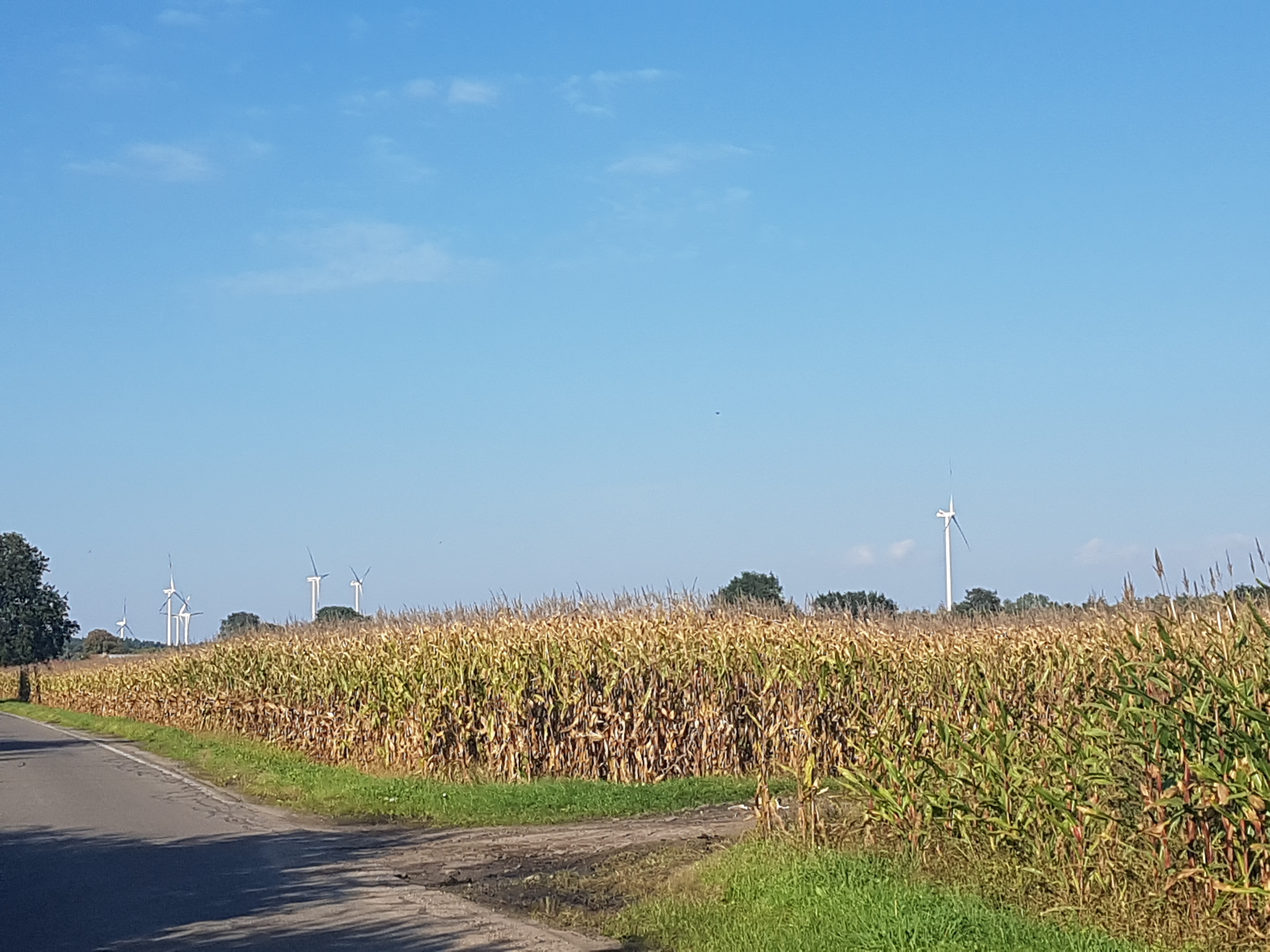 Unterwegs um Großräschen