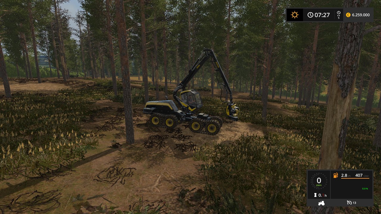 Forst